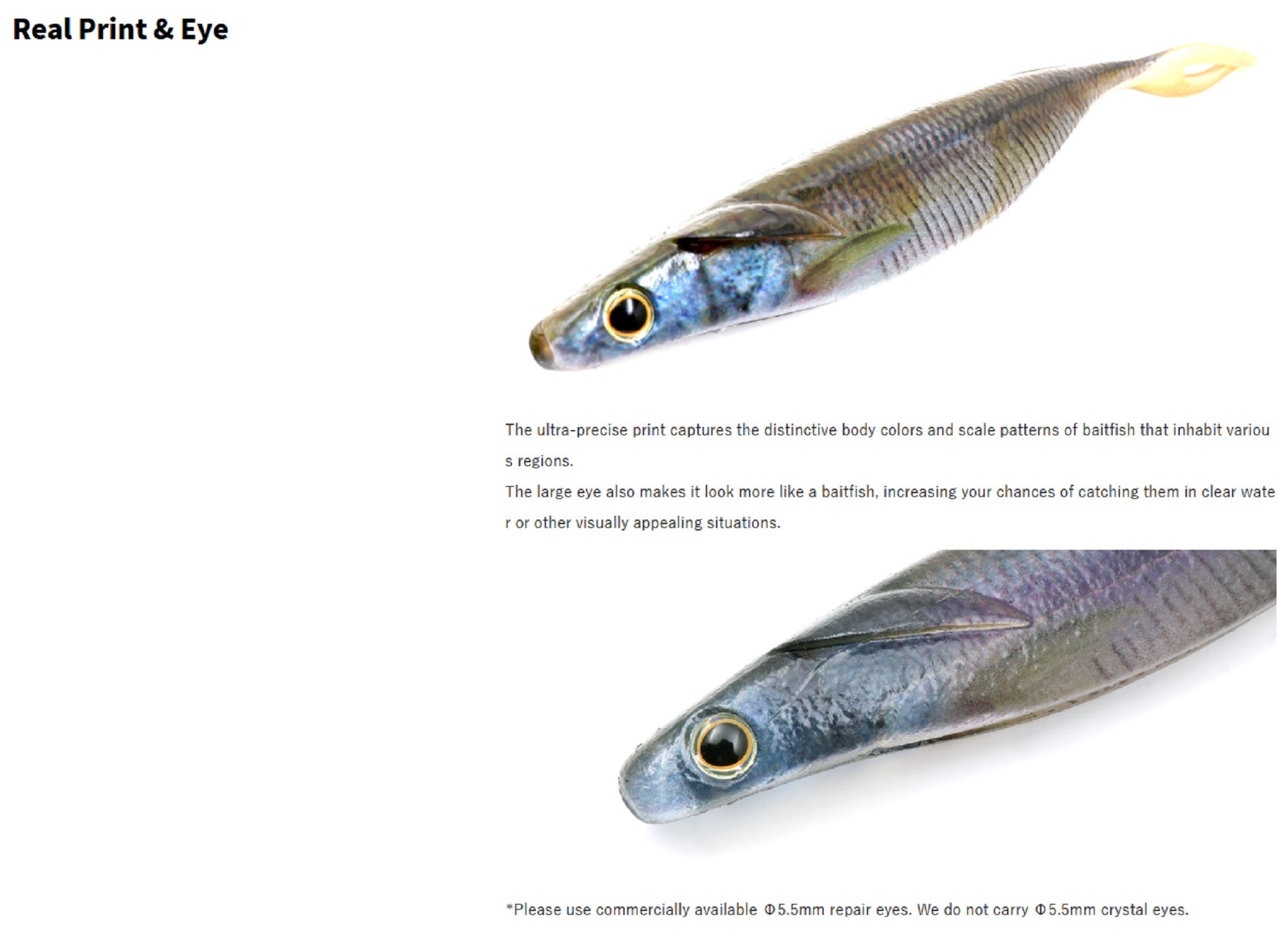 Lure Haven Singapore