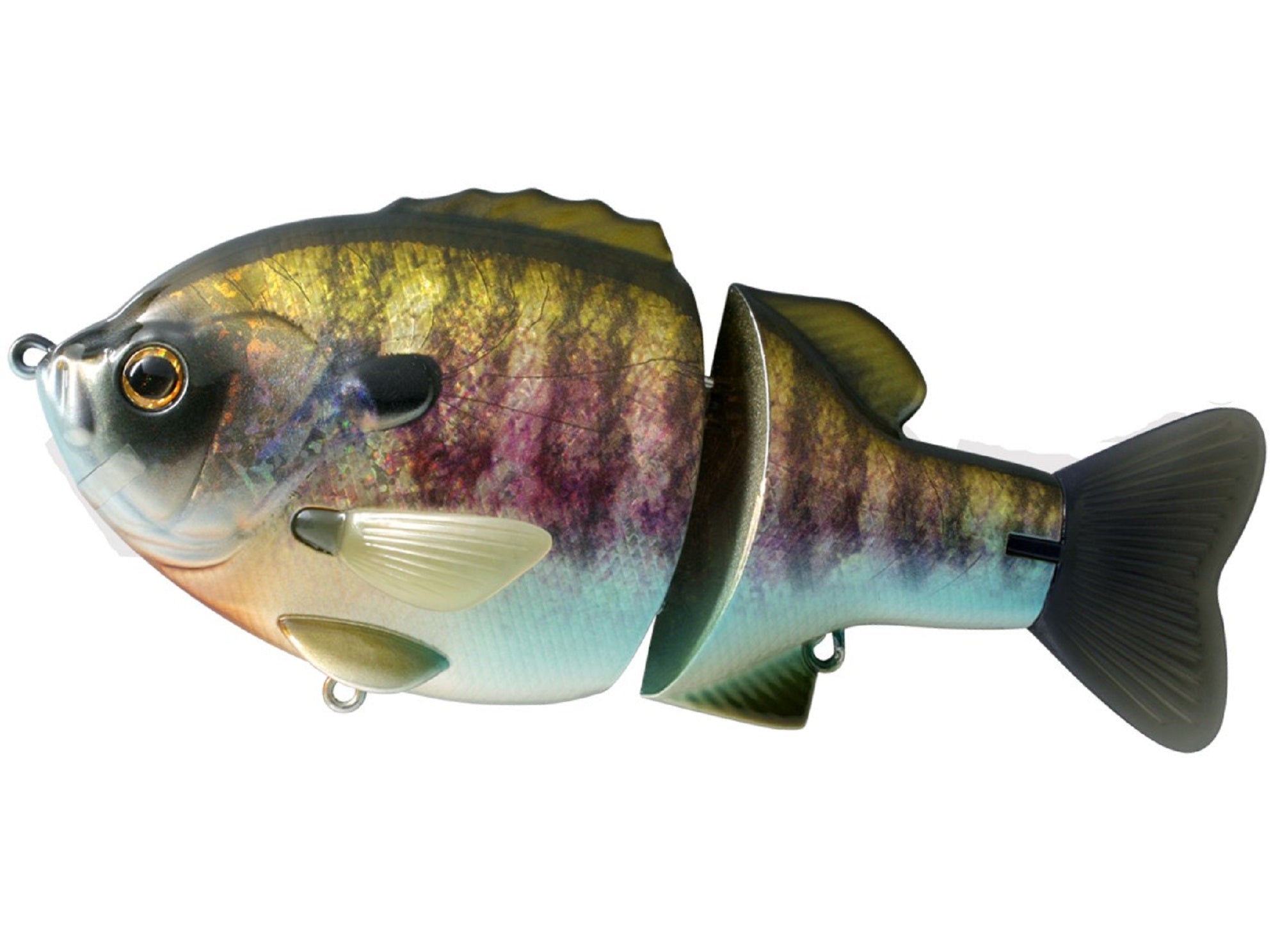 Lure Haven Singapore