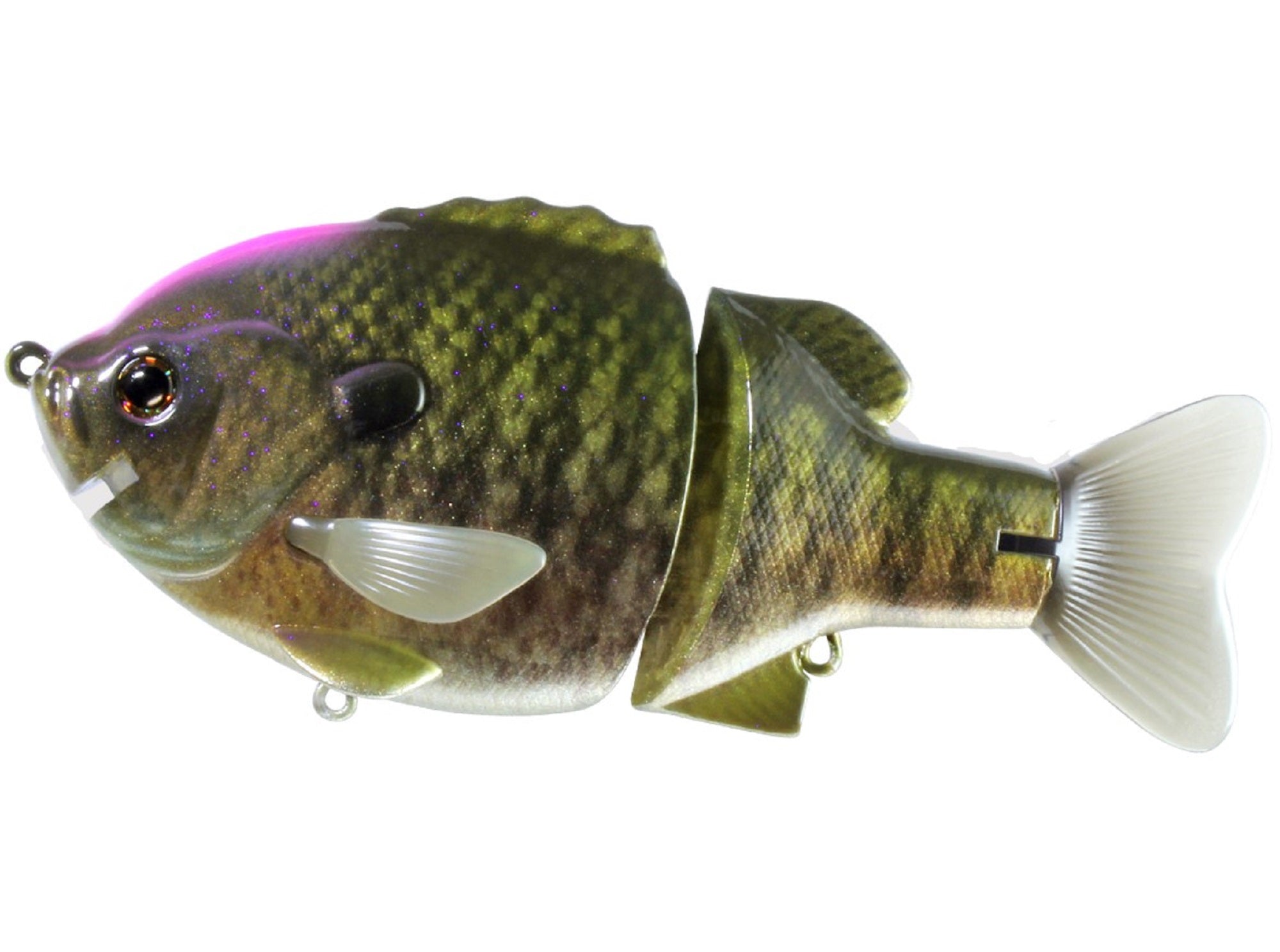 Lure Haven Singapore