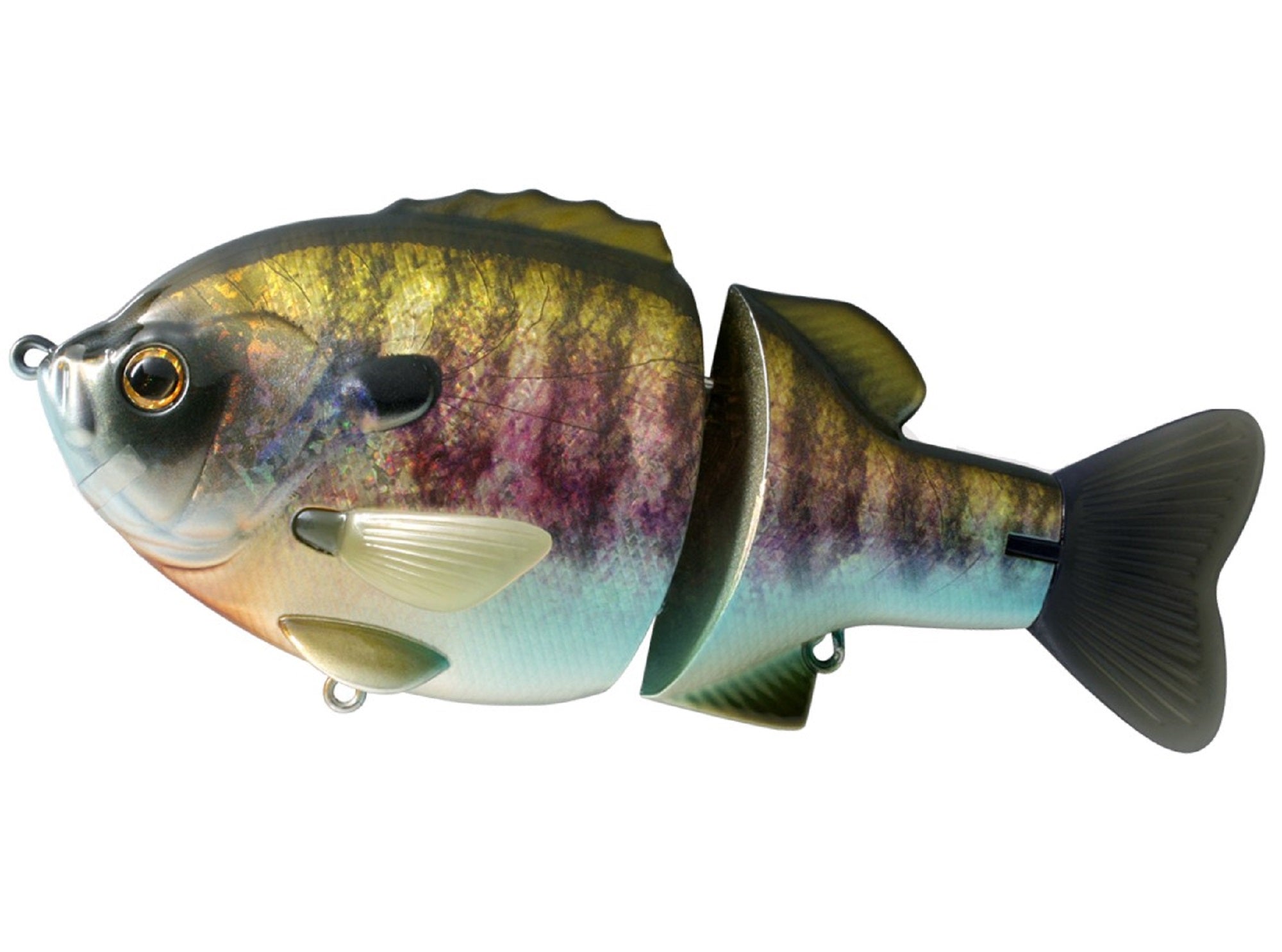 Lure Haven Singapore