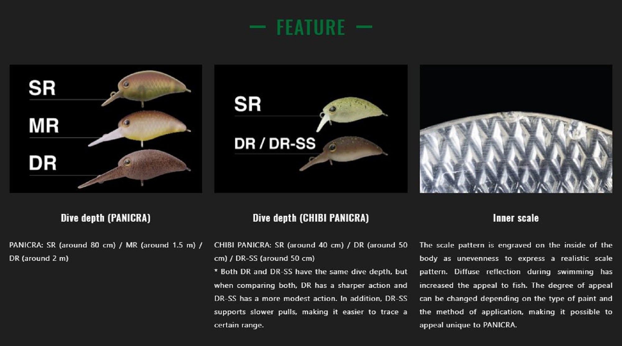 Lure Haven Singapore