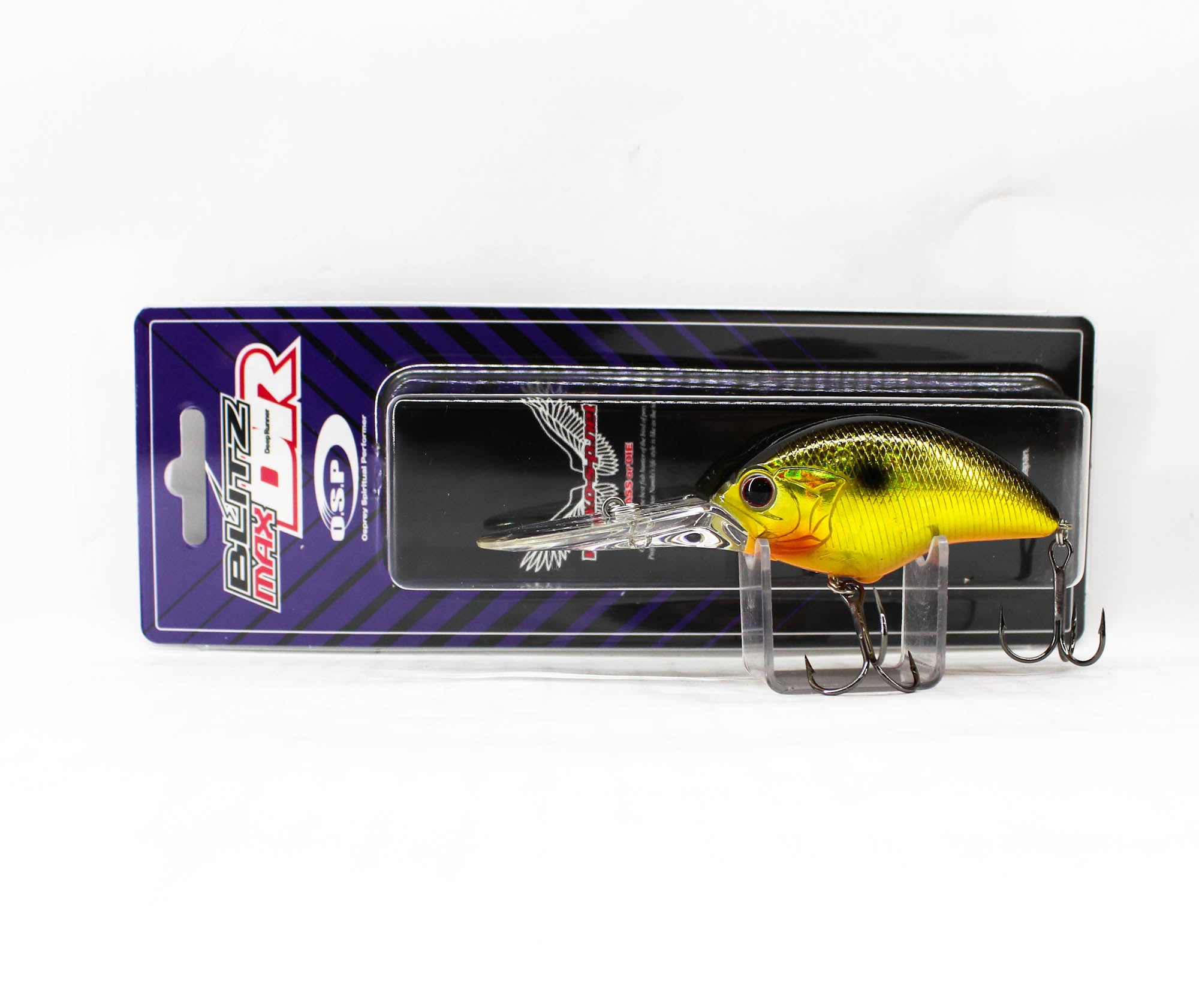 Lure Haven Singapore