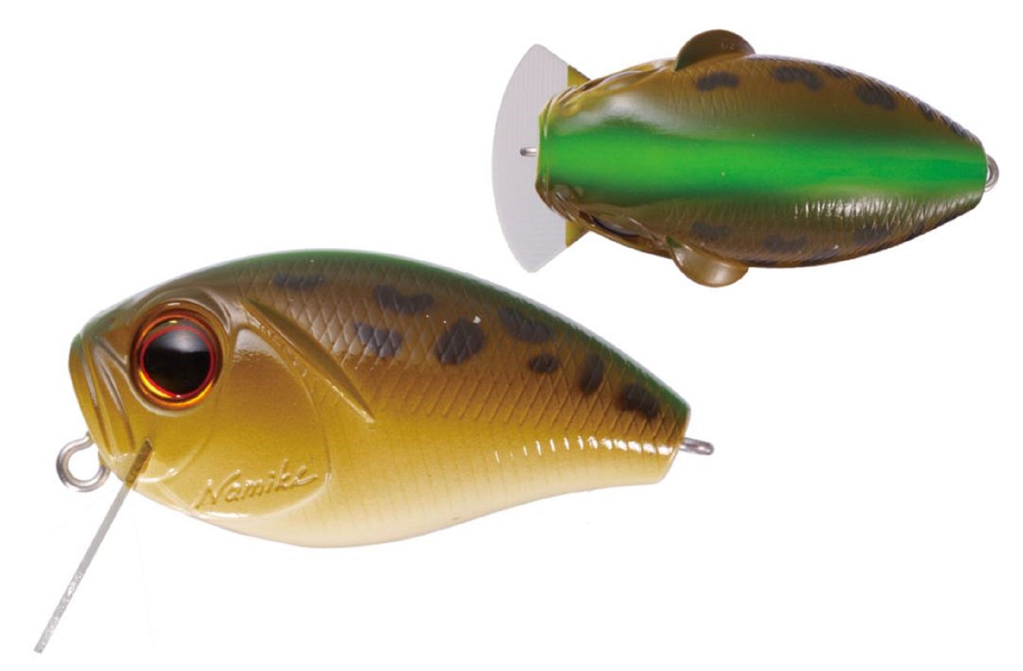 Lure Haven Singapore