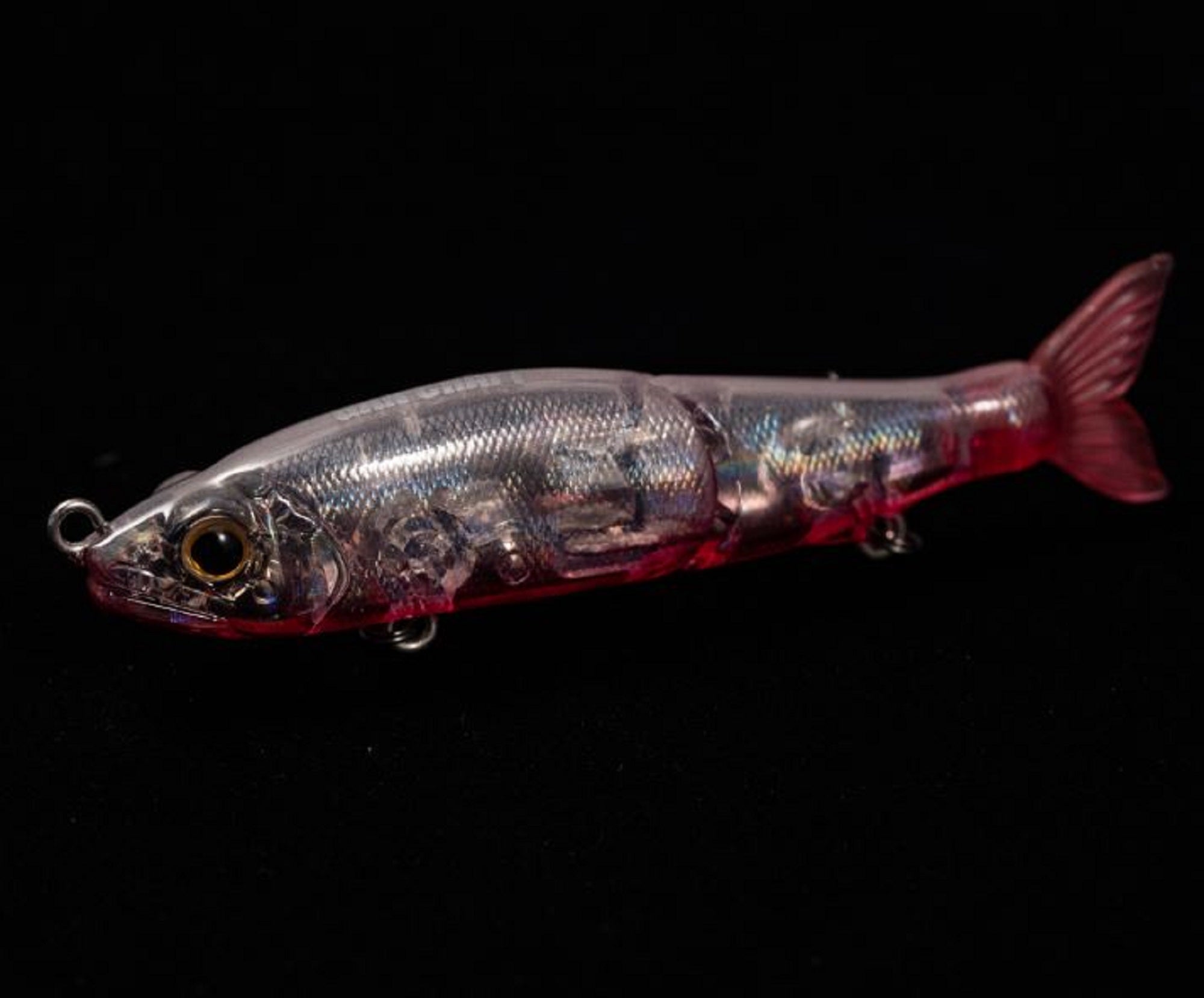 Lure Haven Singapore