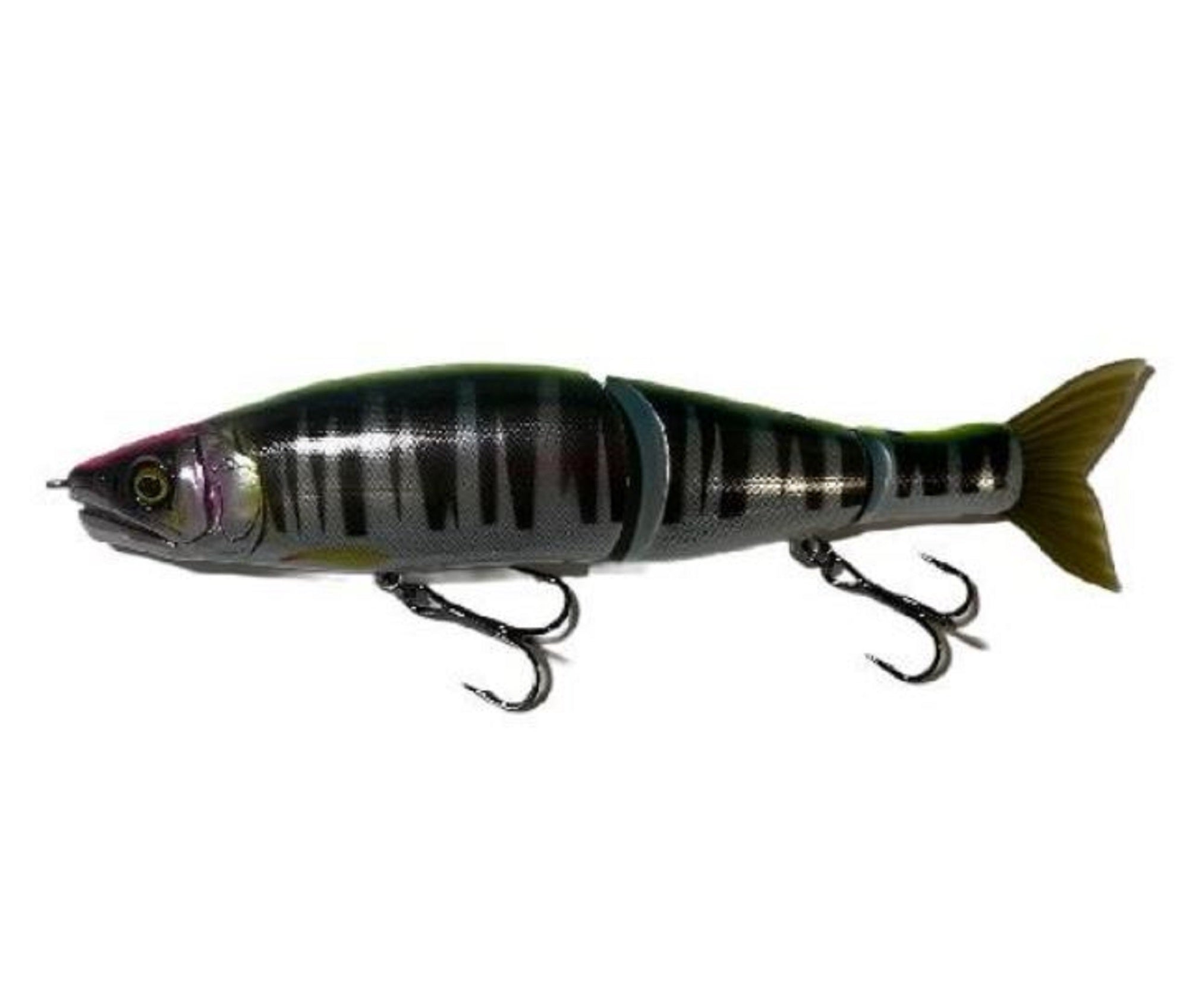 Lure Haven Singapore