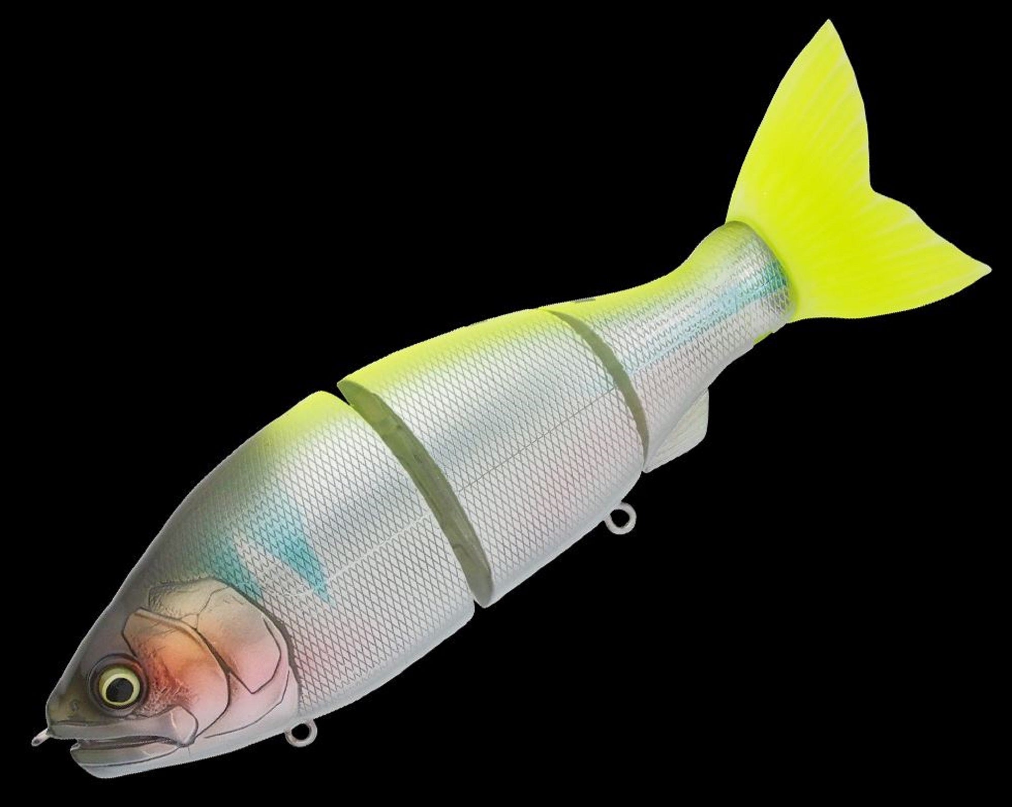 Lure Haven Singapore