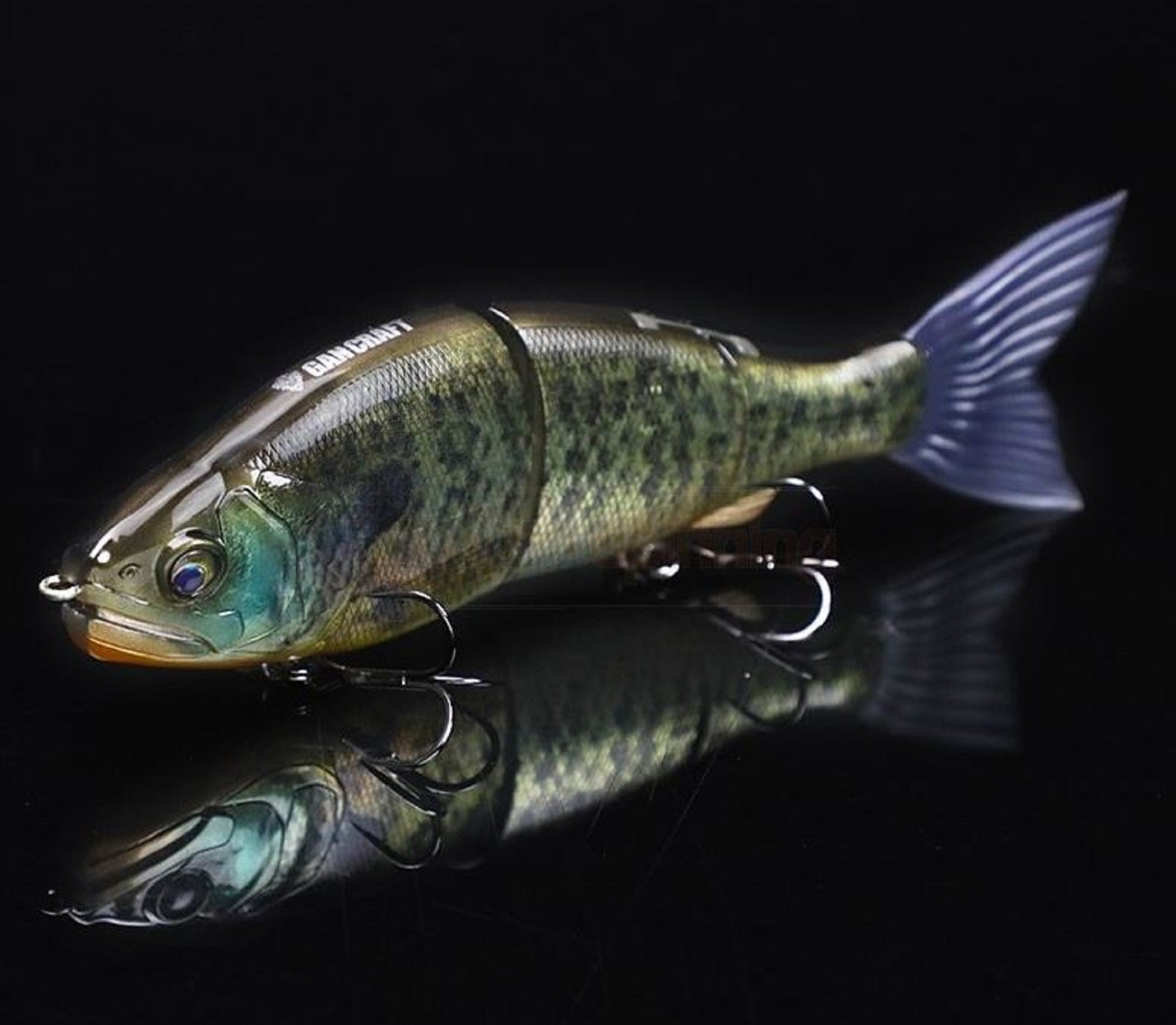 Lure Haven Singapore
