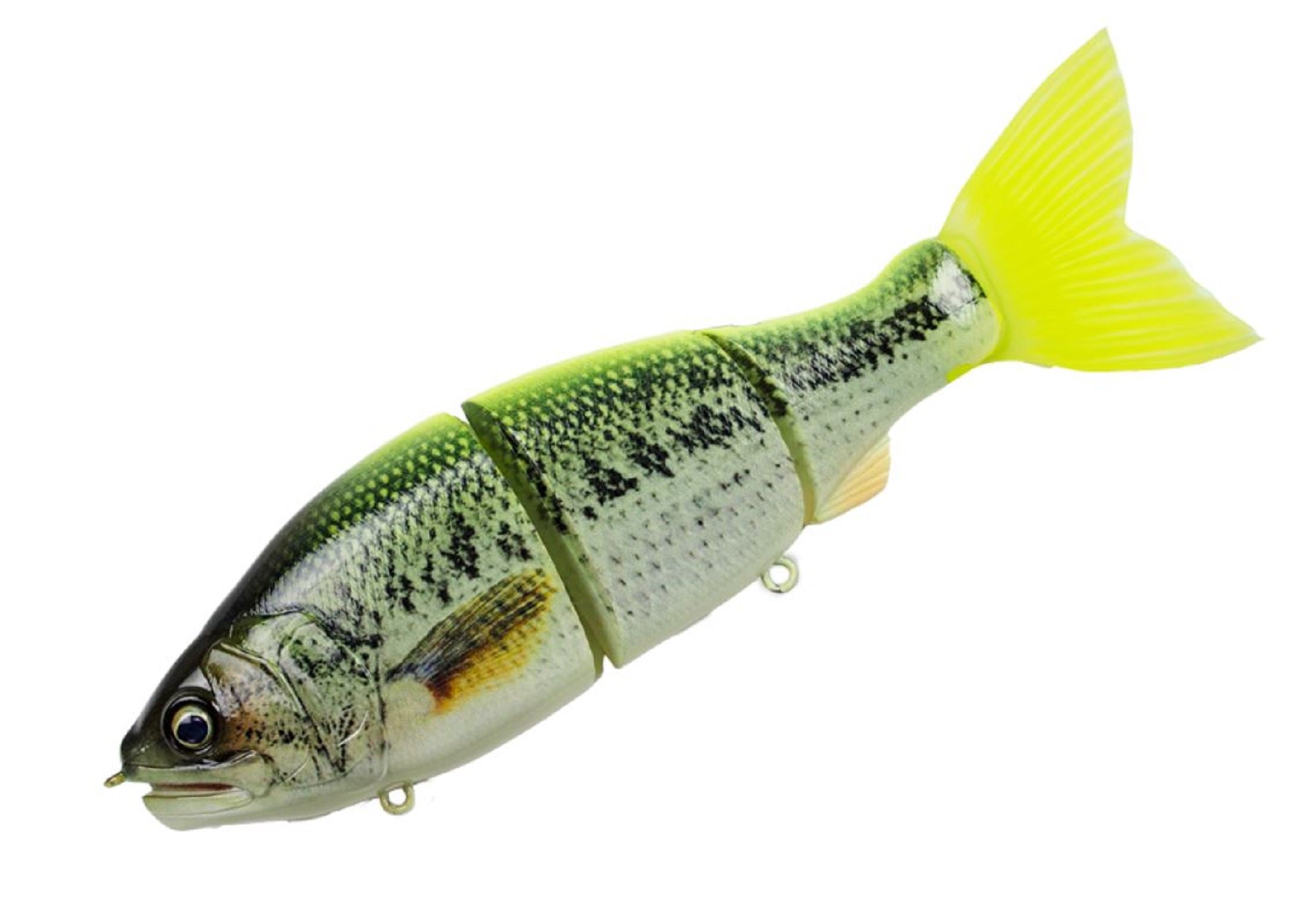 Lure Haven Singapore