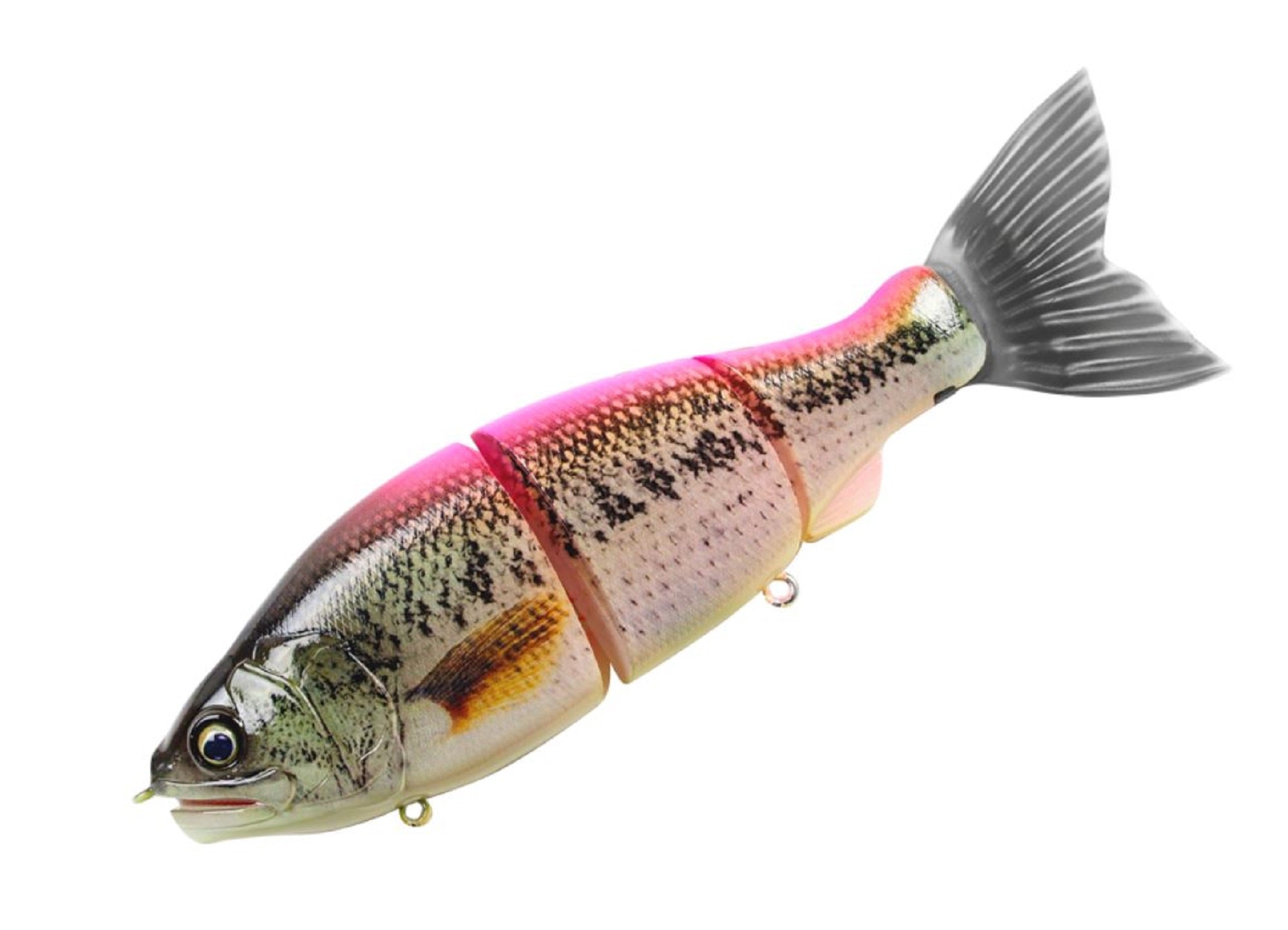 Lure Haven Singapore