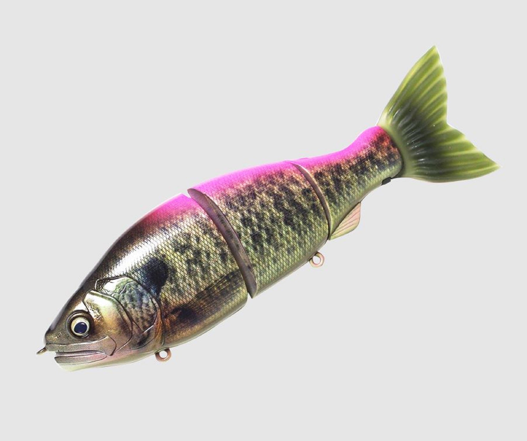 Lure Haven Singapore