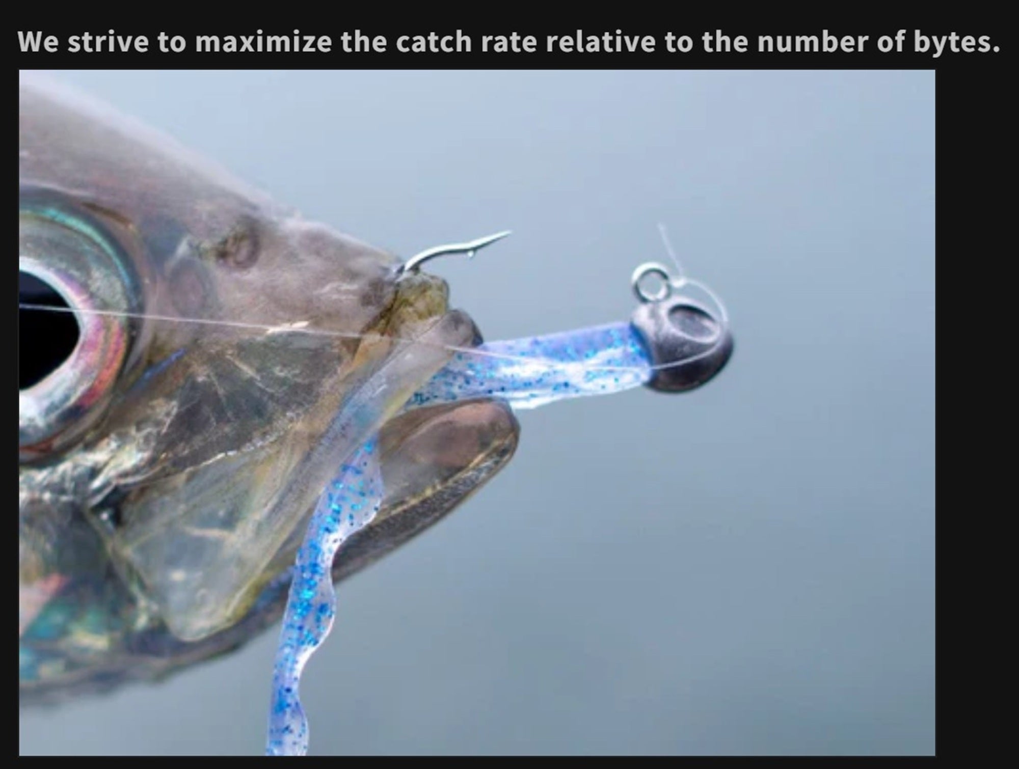 Mizar Jig Head Terns Head Size M 0.7 grams (0327)