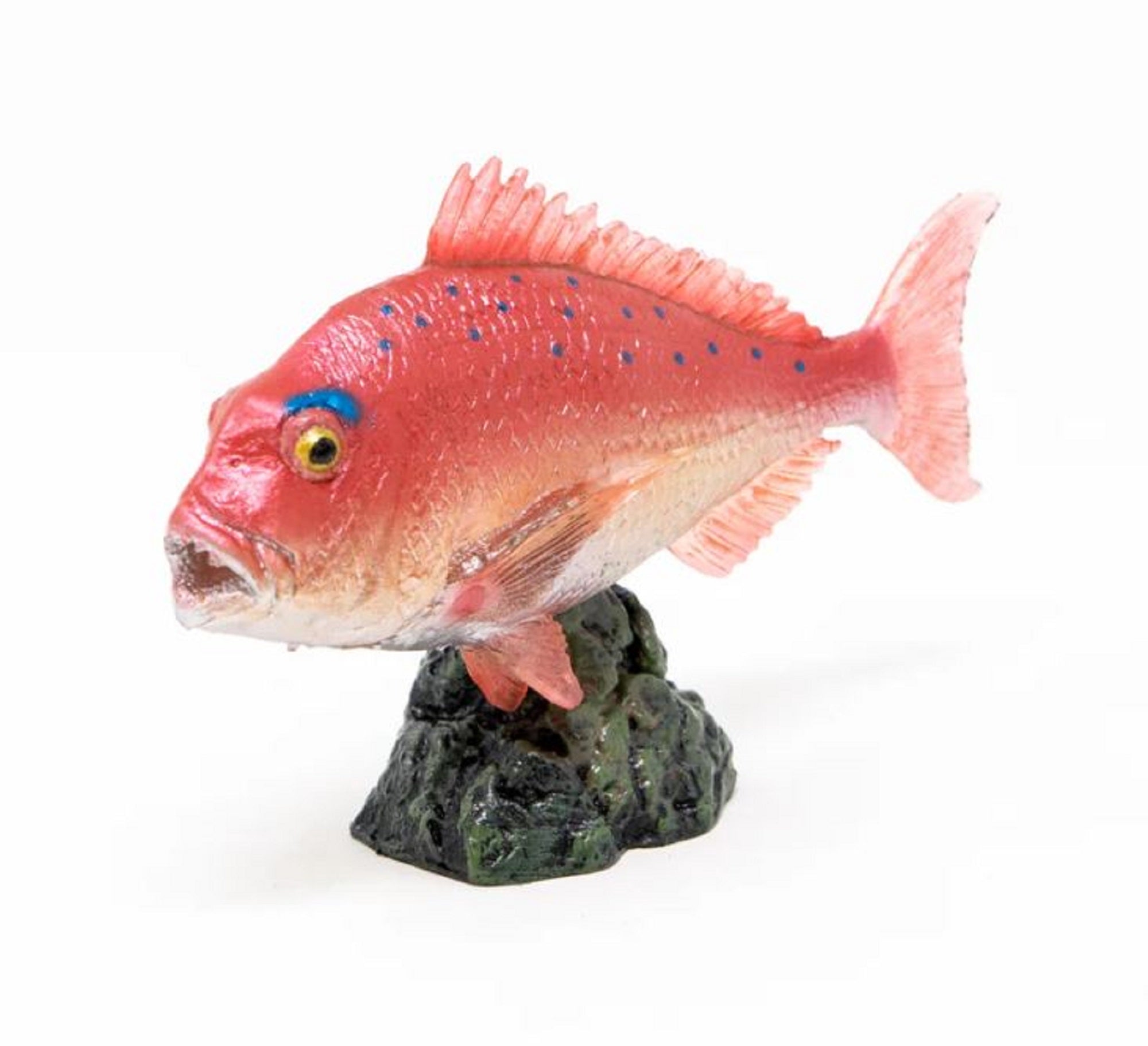 Favorite AF-204 Display Figurine Madai Red Seabream 76 x 23 x 47mm (4451)