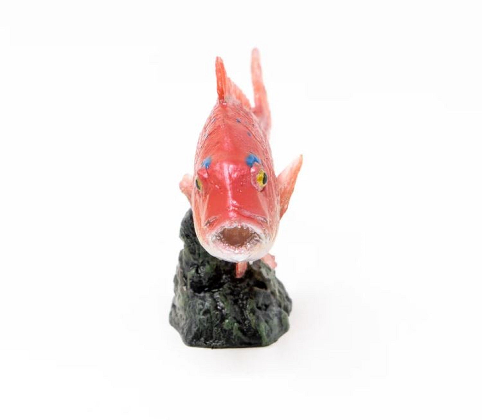 Favorite AF-204 Display Figurine Madai Red Seabream 76 x 23 x 47mm (4451)
