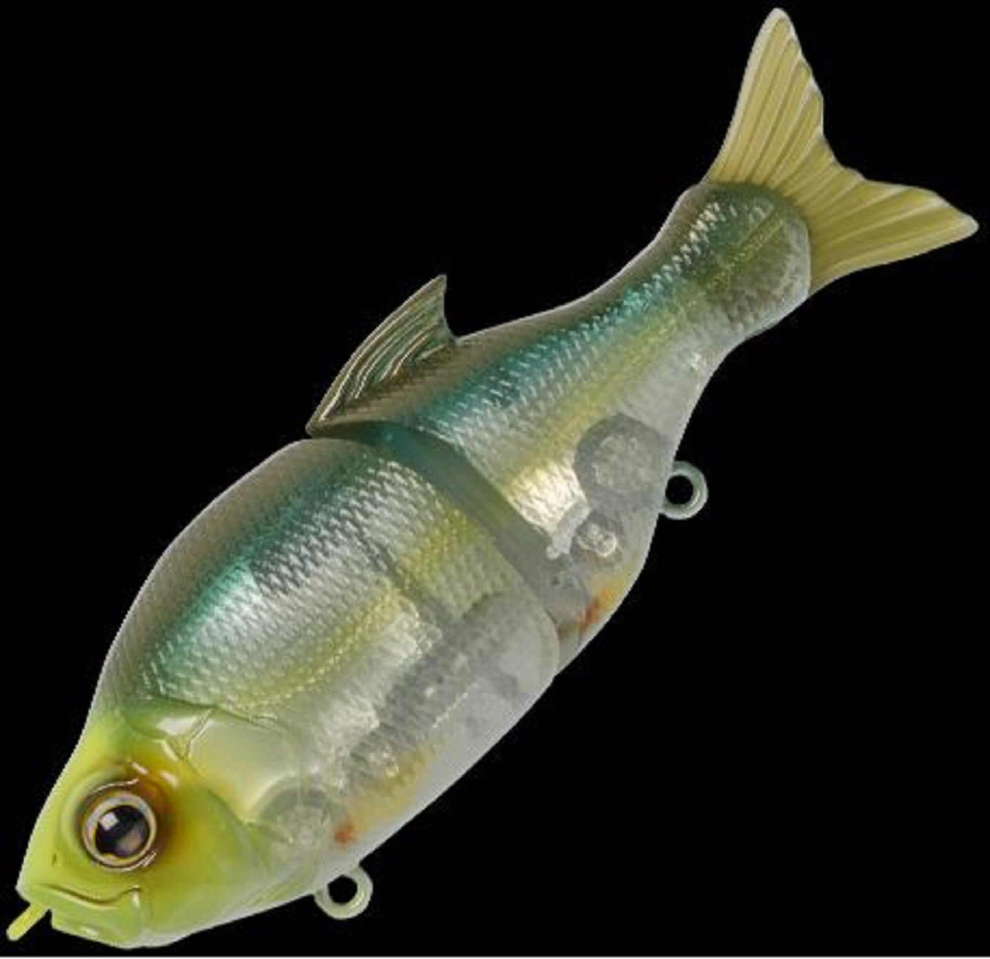 Lure Haven Singapore