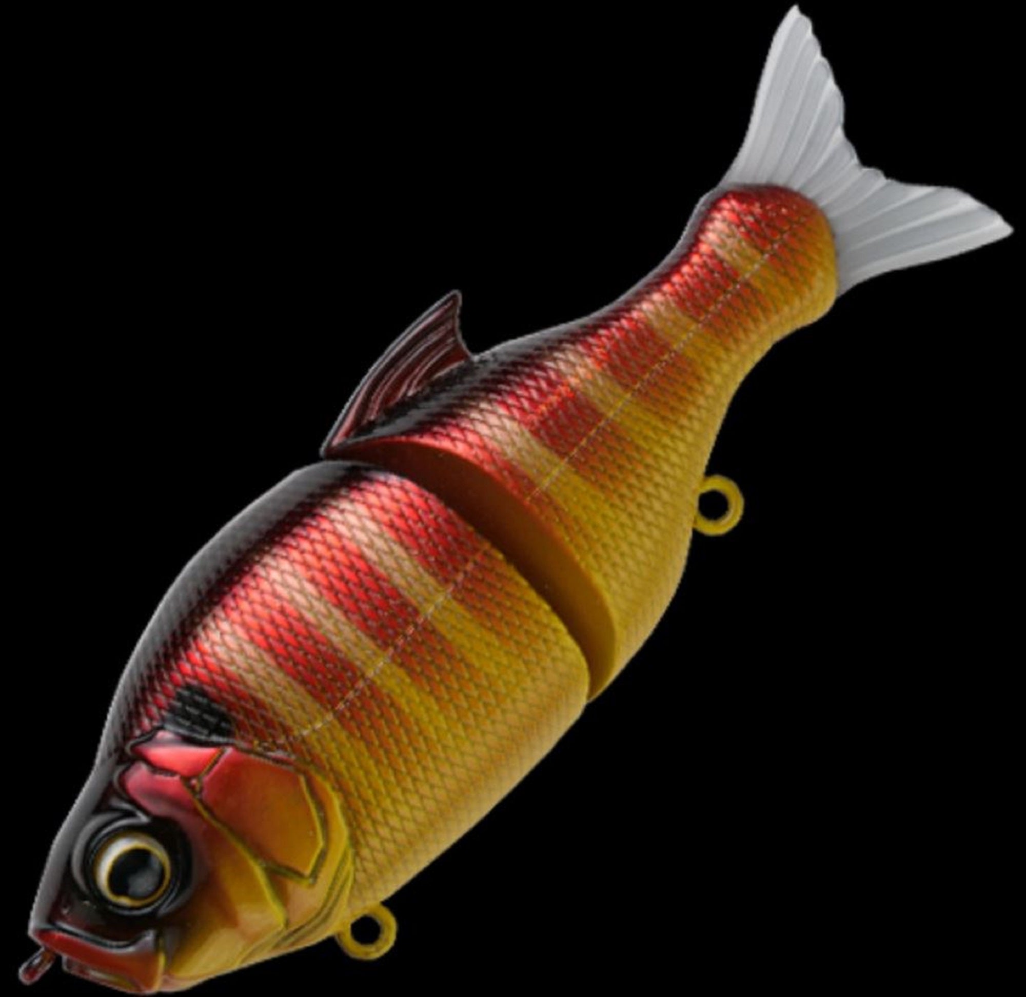 Lure Haven Singapore