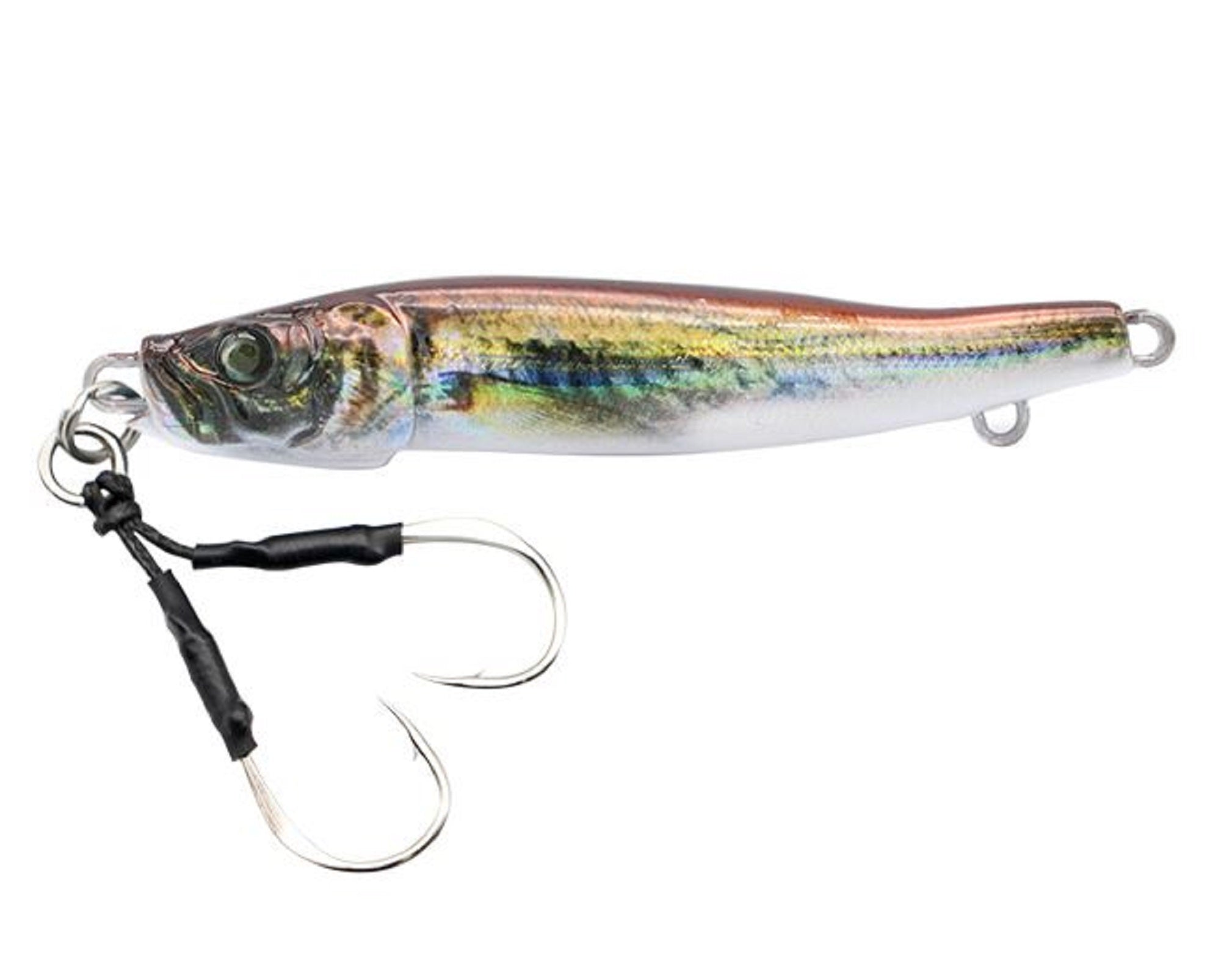 Lure Haven Singapore