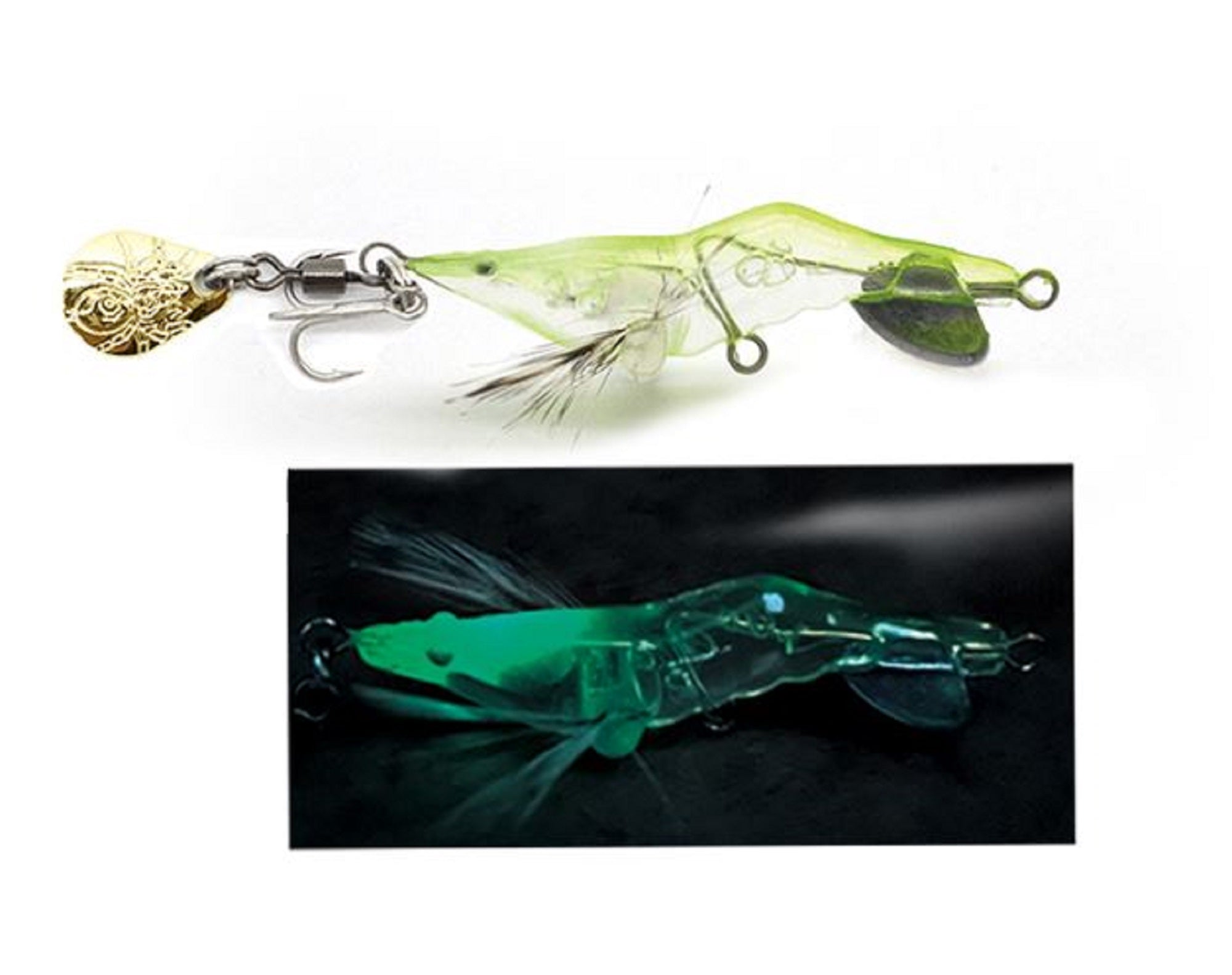 Lure Haven Singapore