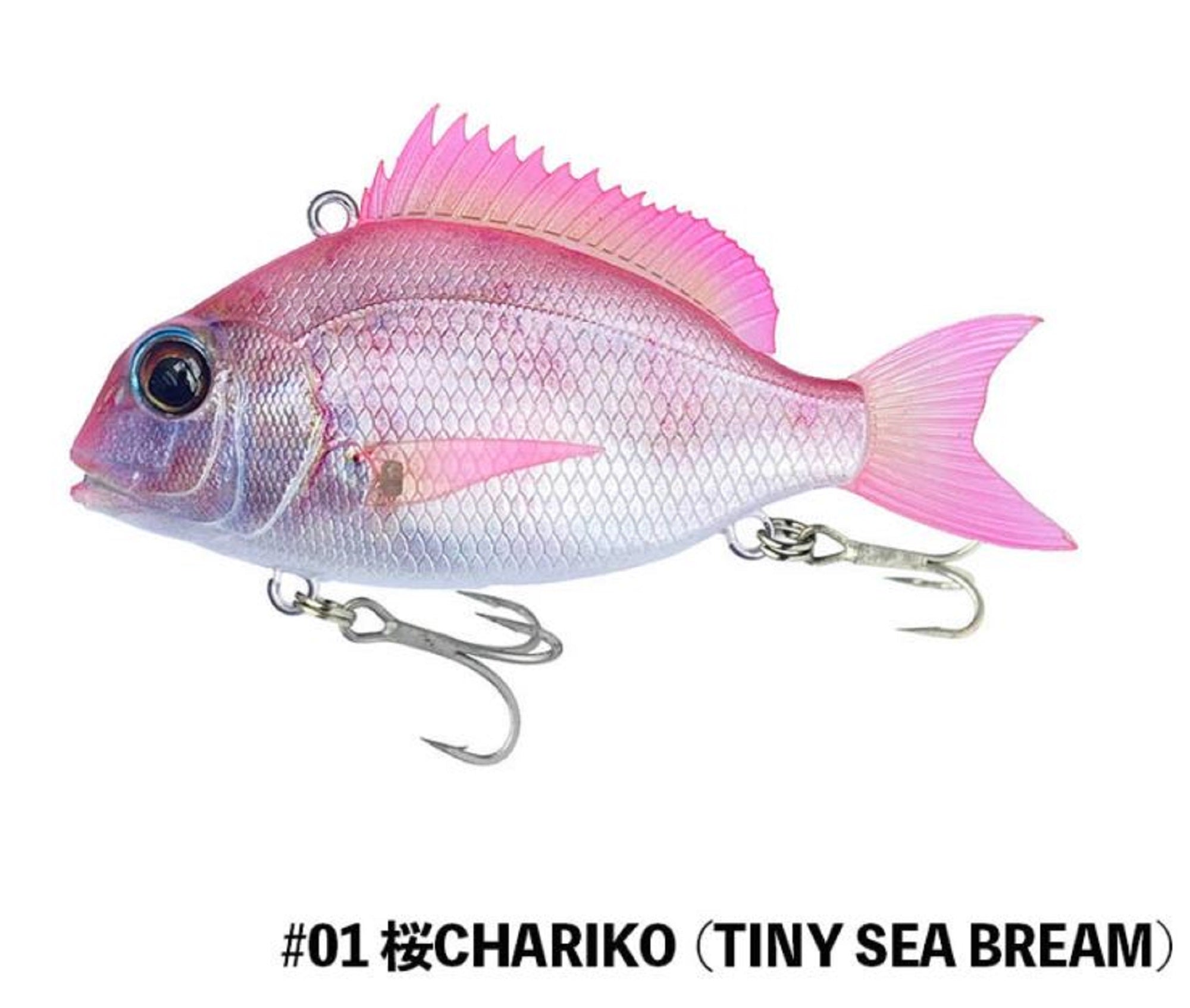 Lure Haven Singapore