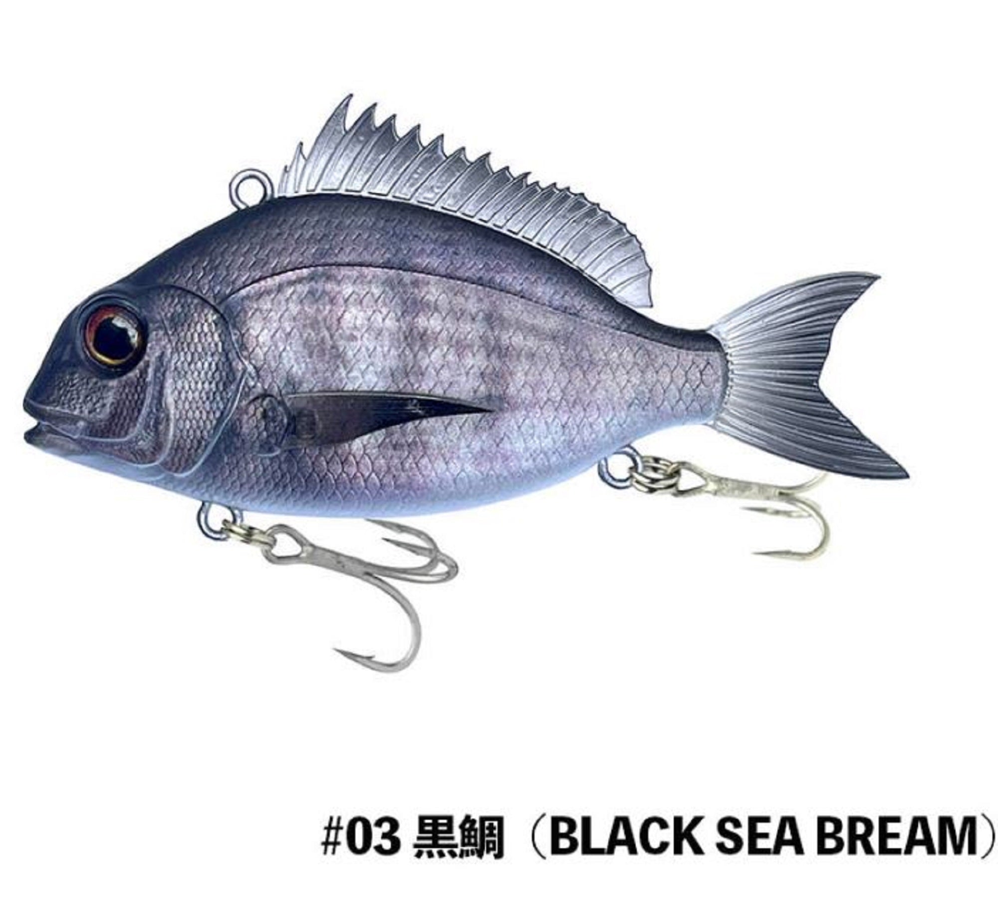 Lure Haven Singapore