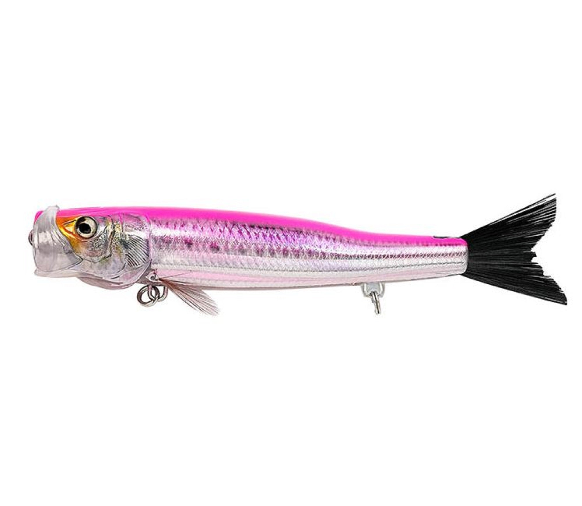 Lure Haven Singapore