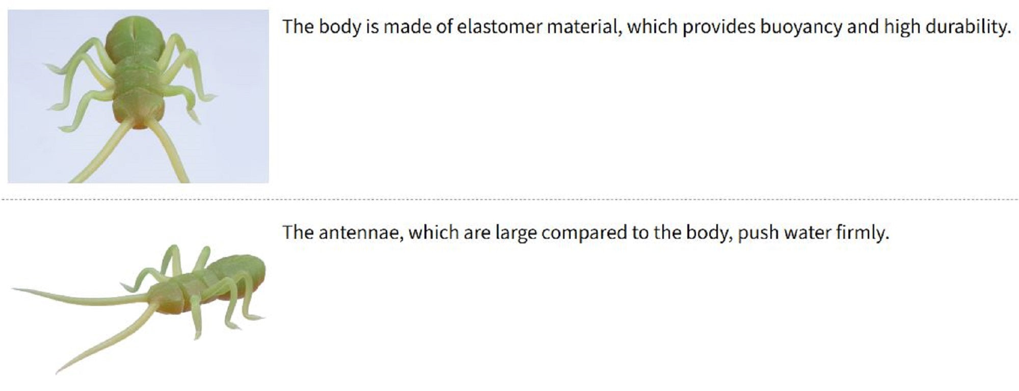 Lure Haven Singapore