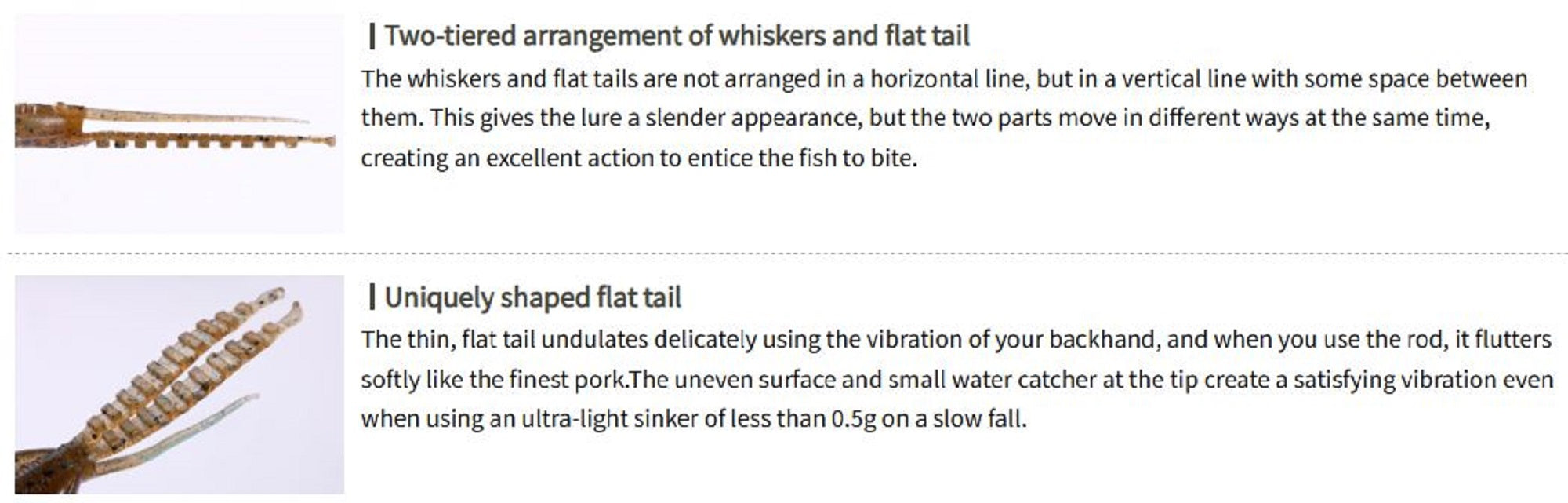 Lure Haven Singapore