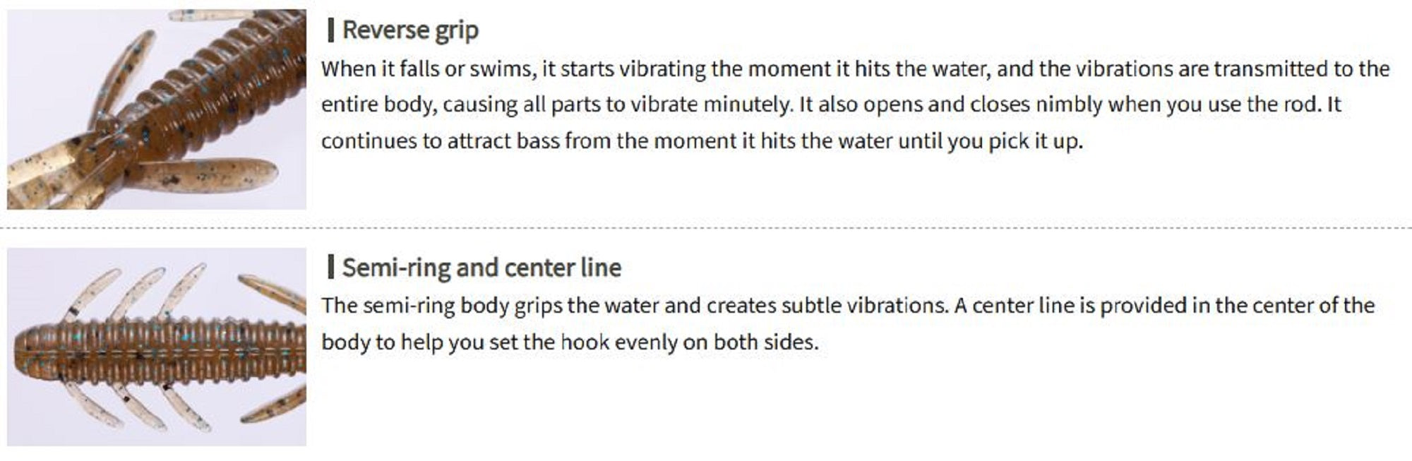 Lure Haven Singapore