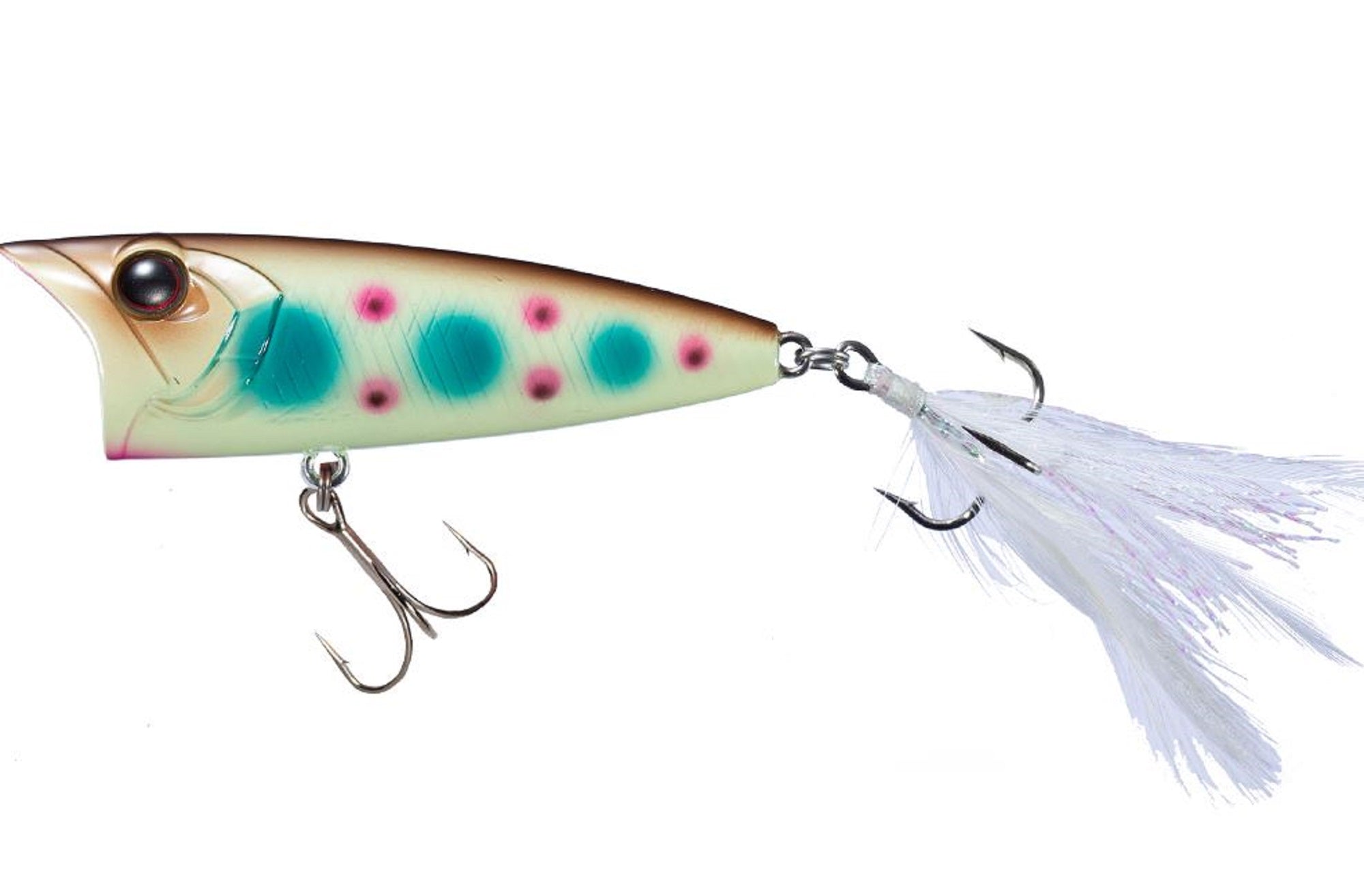 Lure Haven Singapore