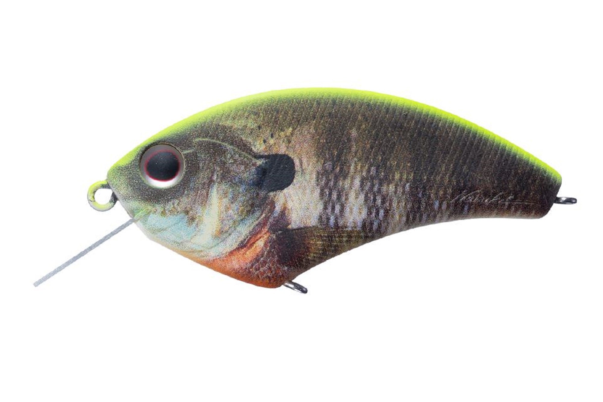 Lure Haven Singapore