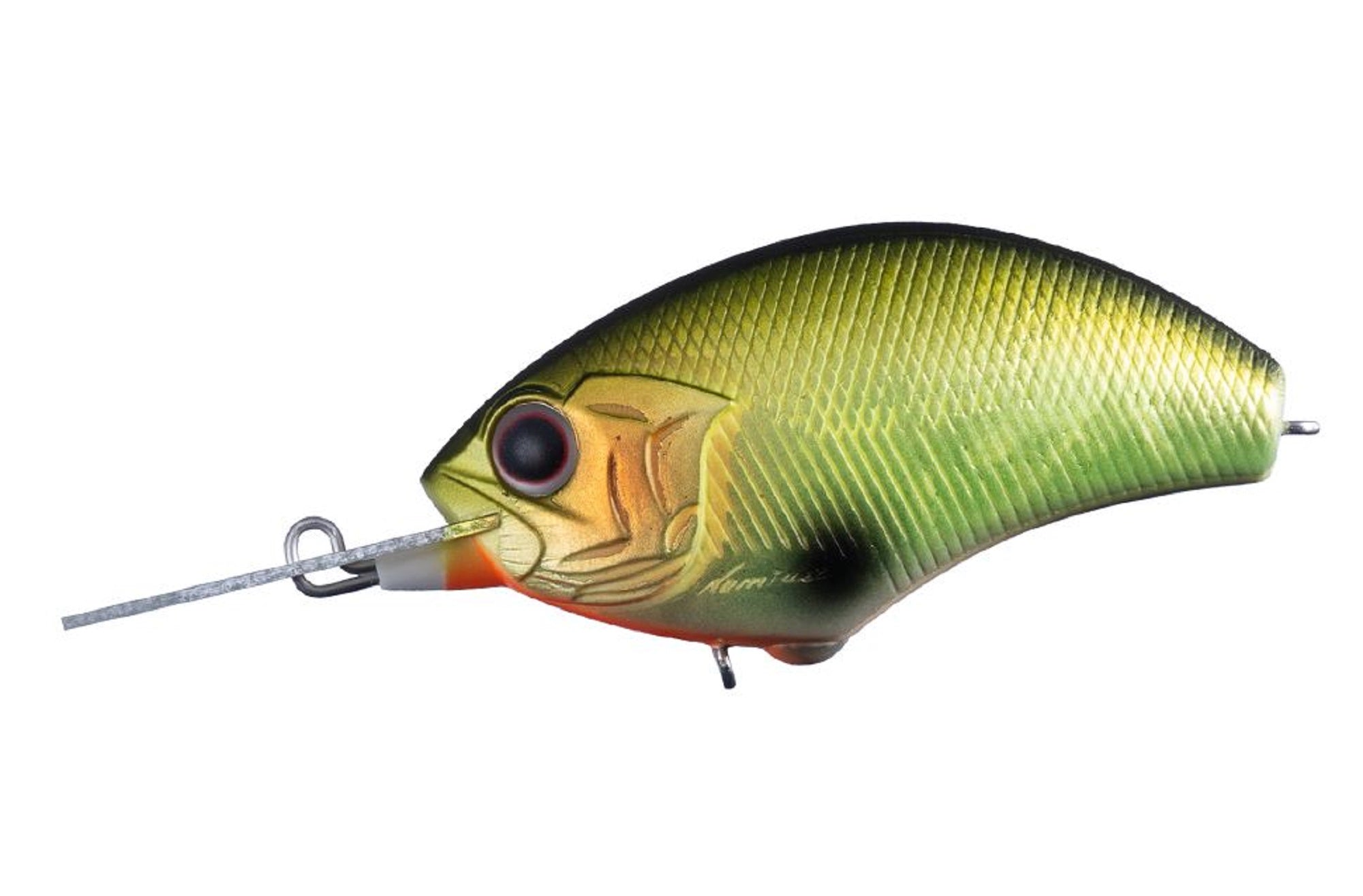 Lure Haven Singapore