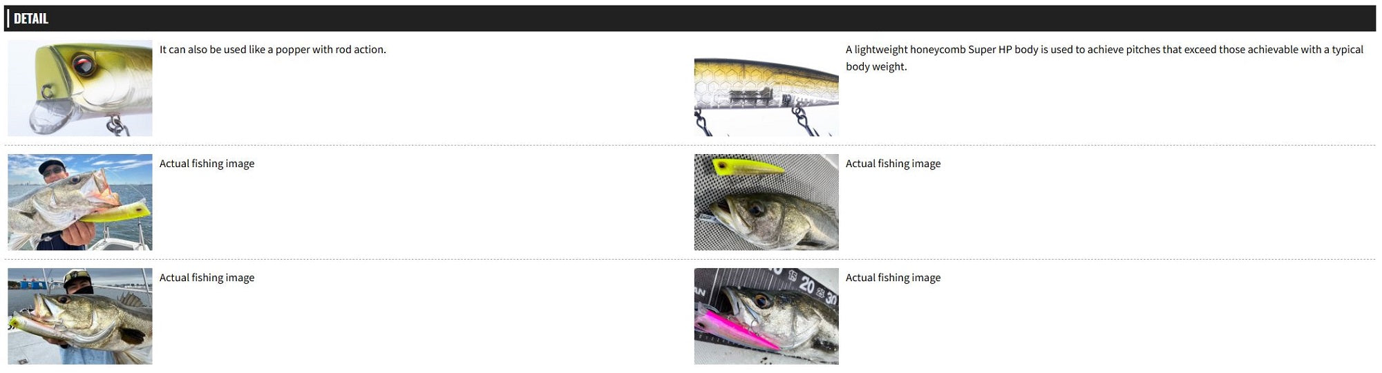Lure Haven Singapore