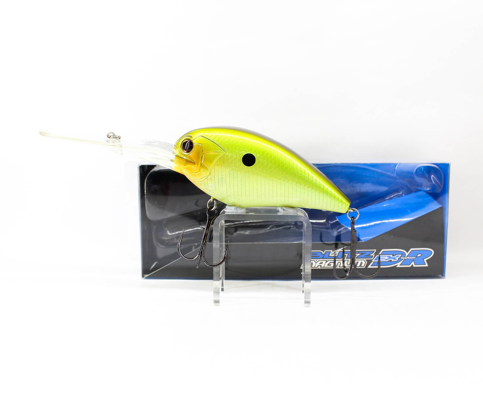 Lure Haven Singapore