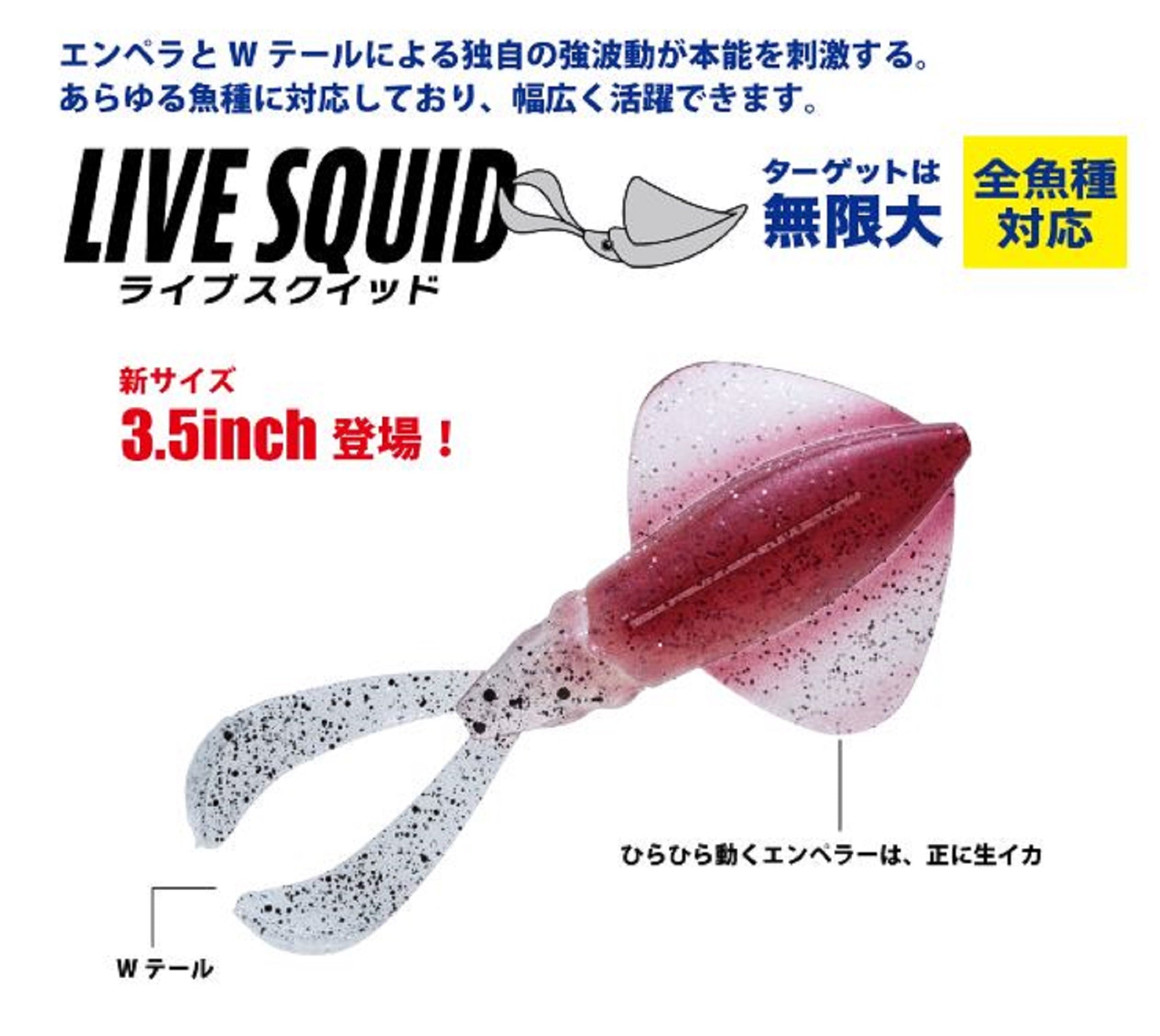 Lure Haven Singapore