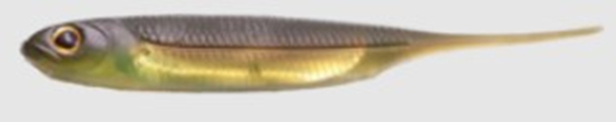 Fish Arrow Soft Lure Flash J 2 Inch 8 Piece per pack #47 (0546)