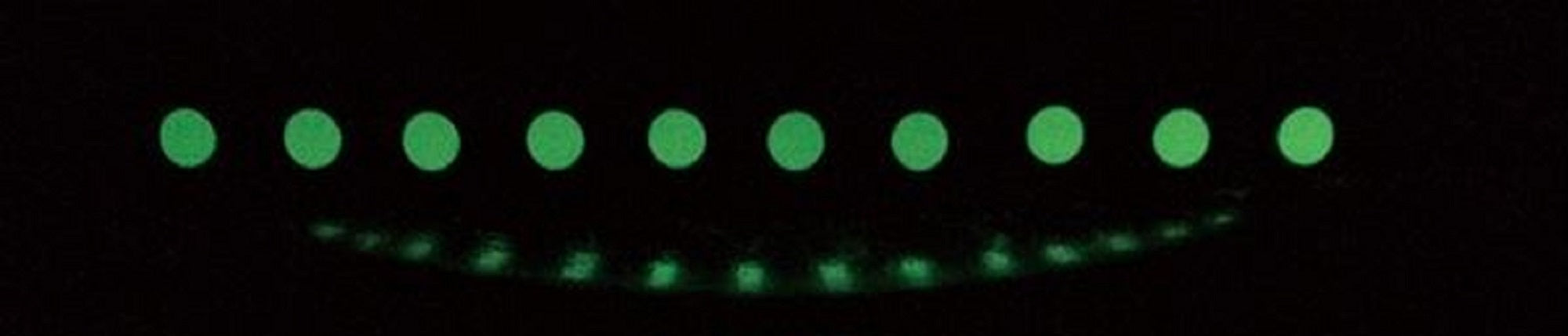 Xesta Ultra Glow Seal 8mm Dot 175 x 50mm 2 Pieces (7551)