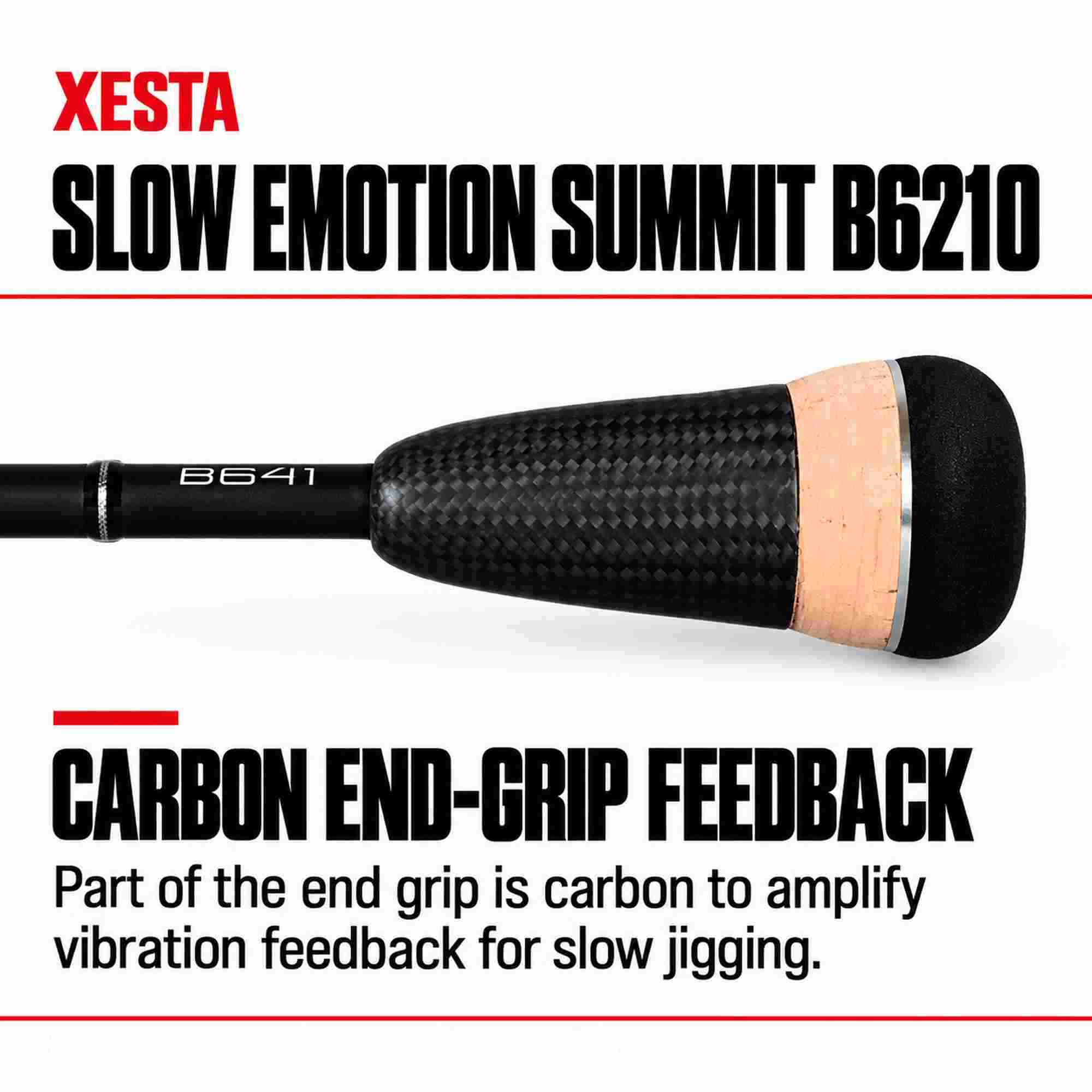 Xesta Rod Baitcast Slow Emotion Summit Edition B6210 (7368)