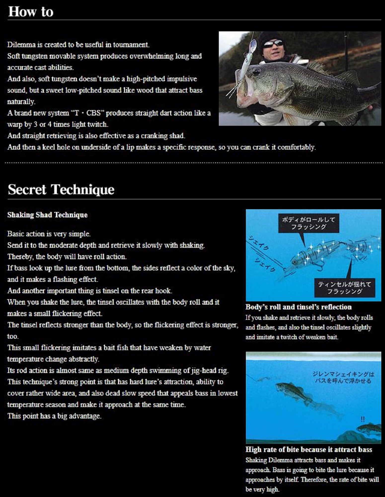 Lure Haven Singapore