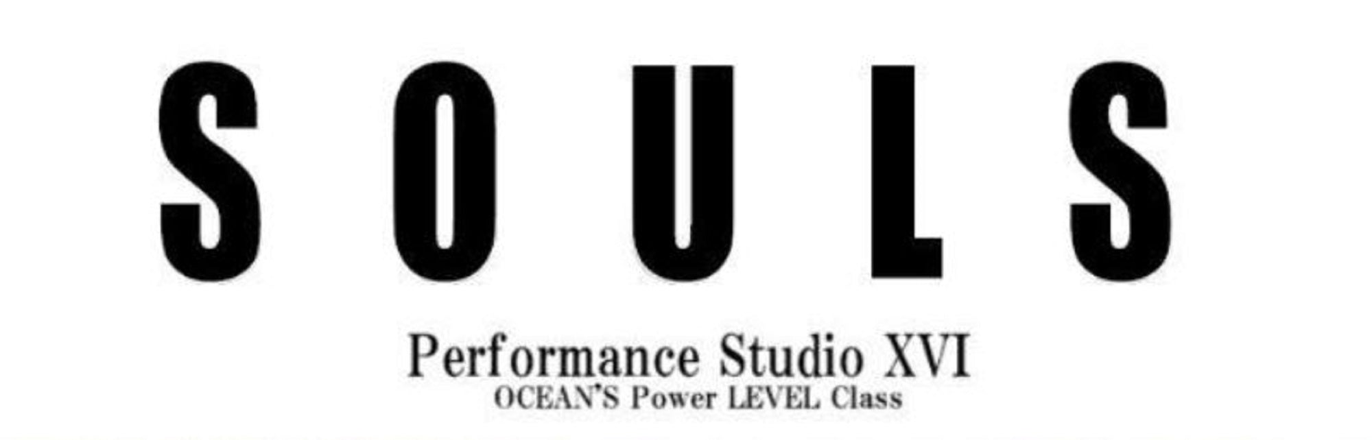 Souls Rod Spinning Oceans Level PS-O83L10S (5010)