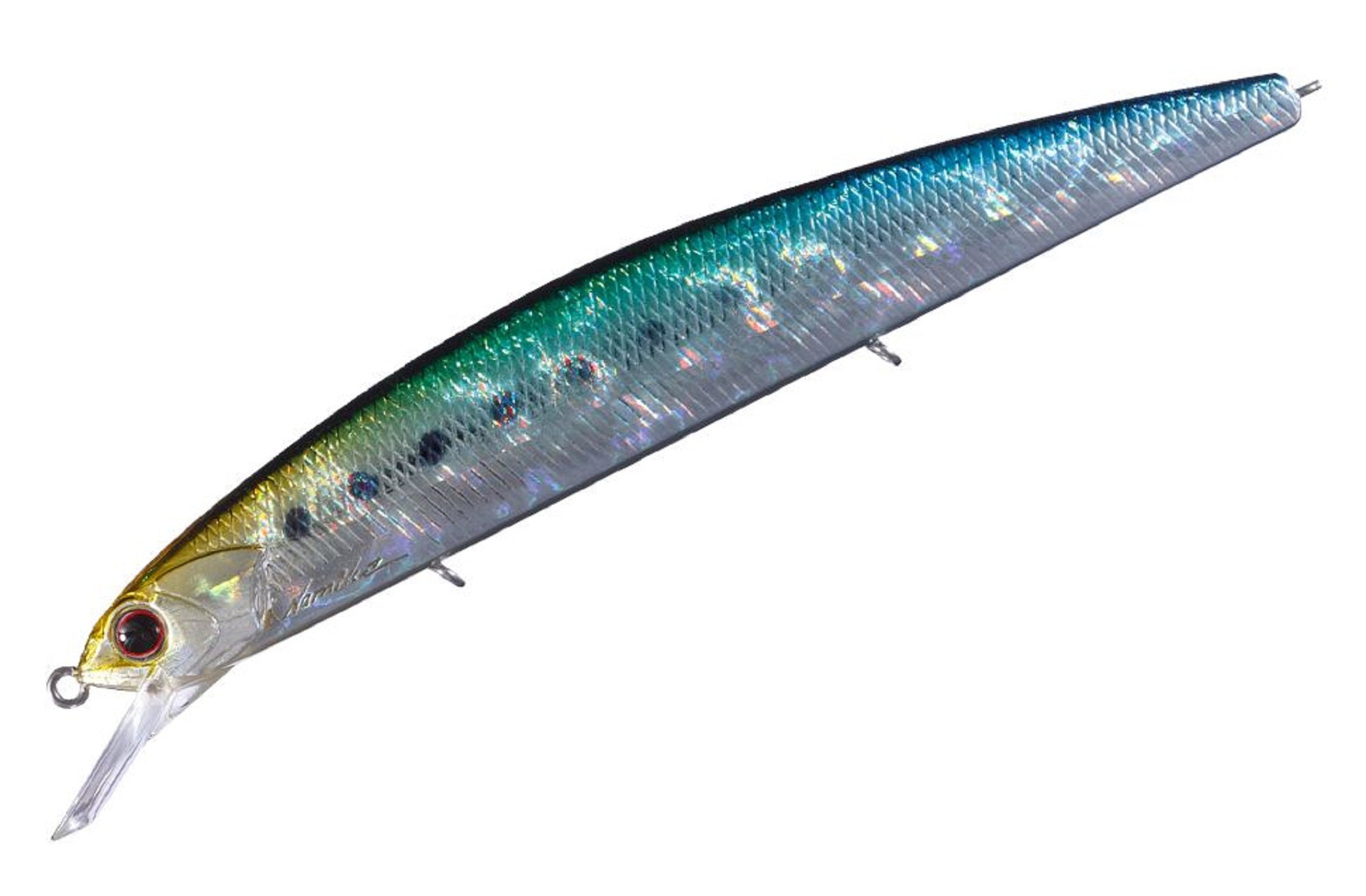 Lure Haven Singapore