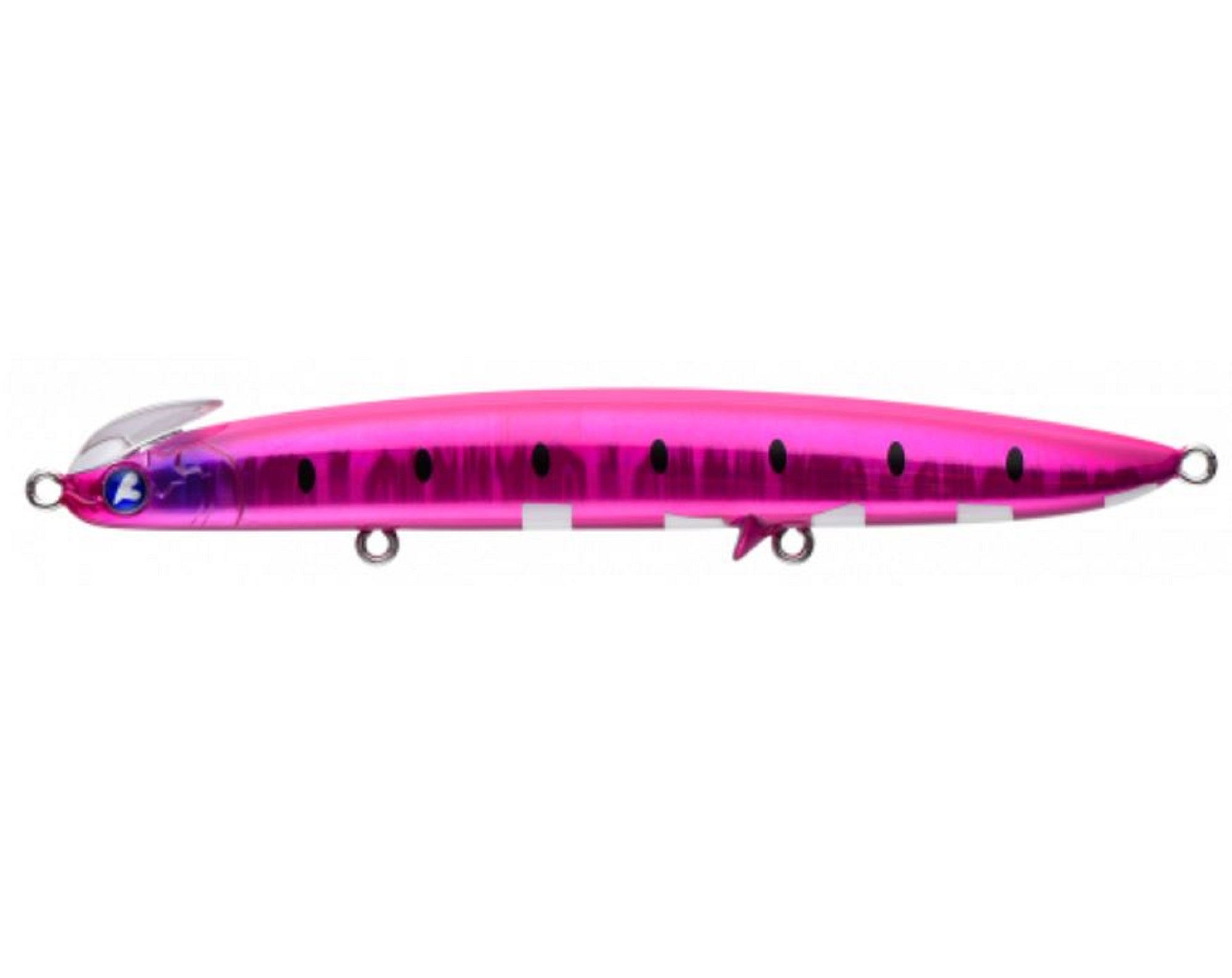 Lure Haven Singapore