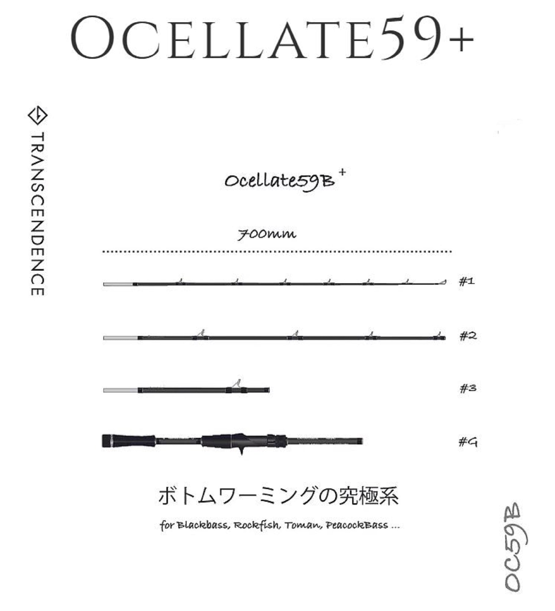 Transcendence Rod Baitcast Ocellate 59B + 5.9-7.0ft (0938)