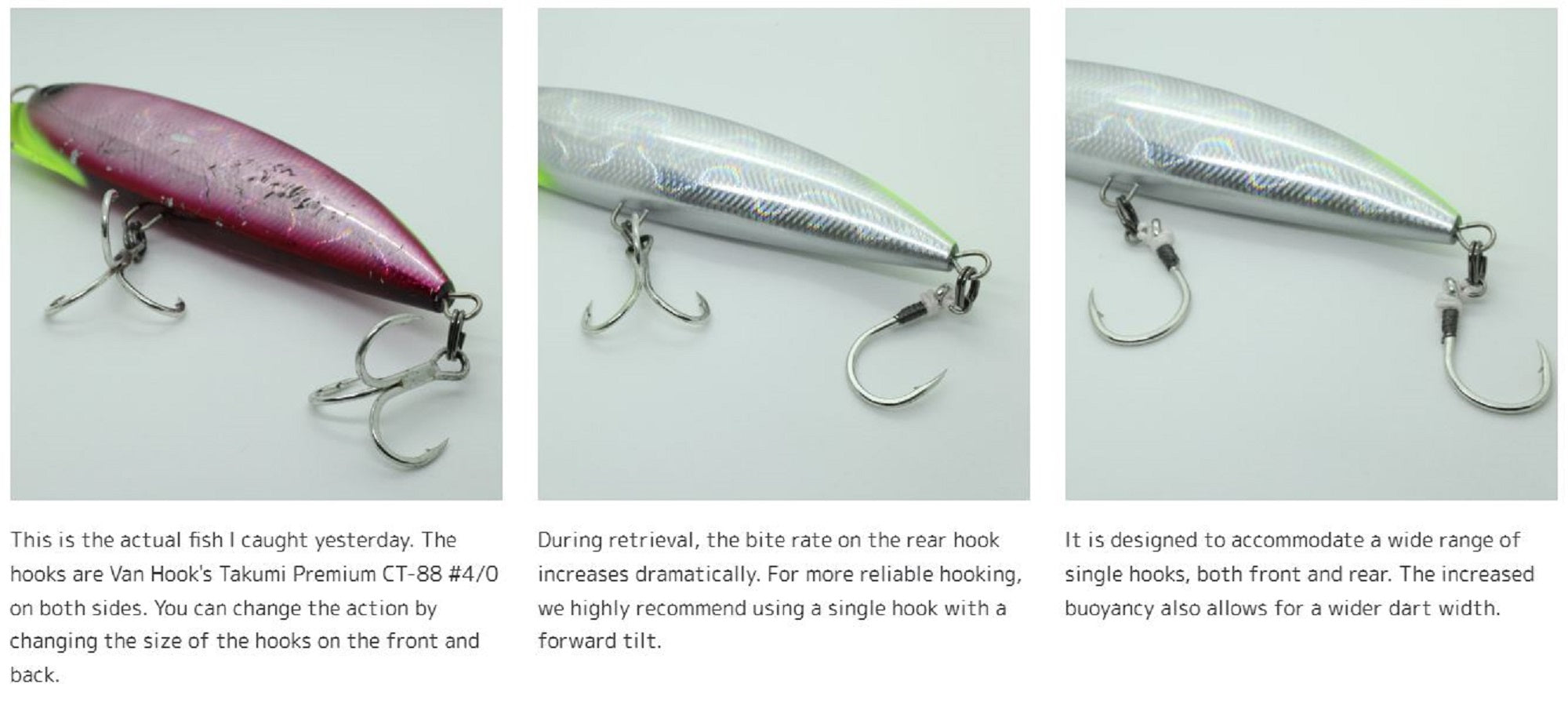 Lure Haven Singapore