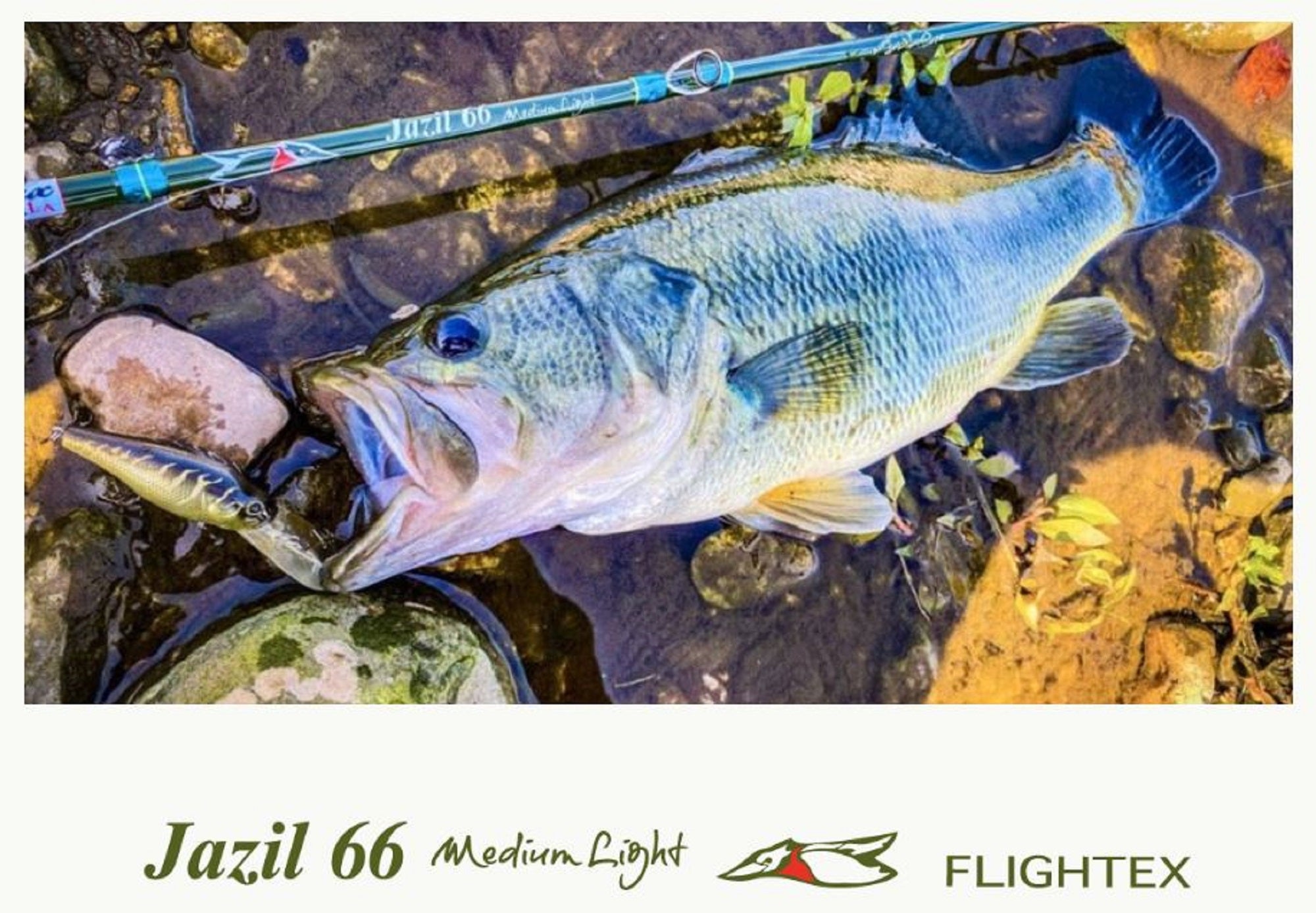 Lure Haven Singapore