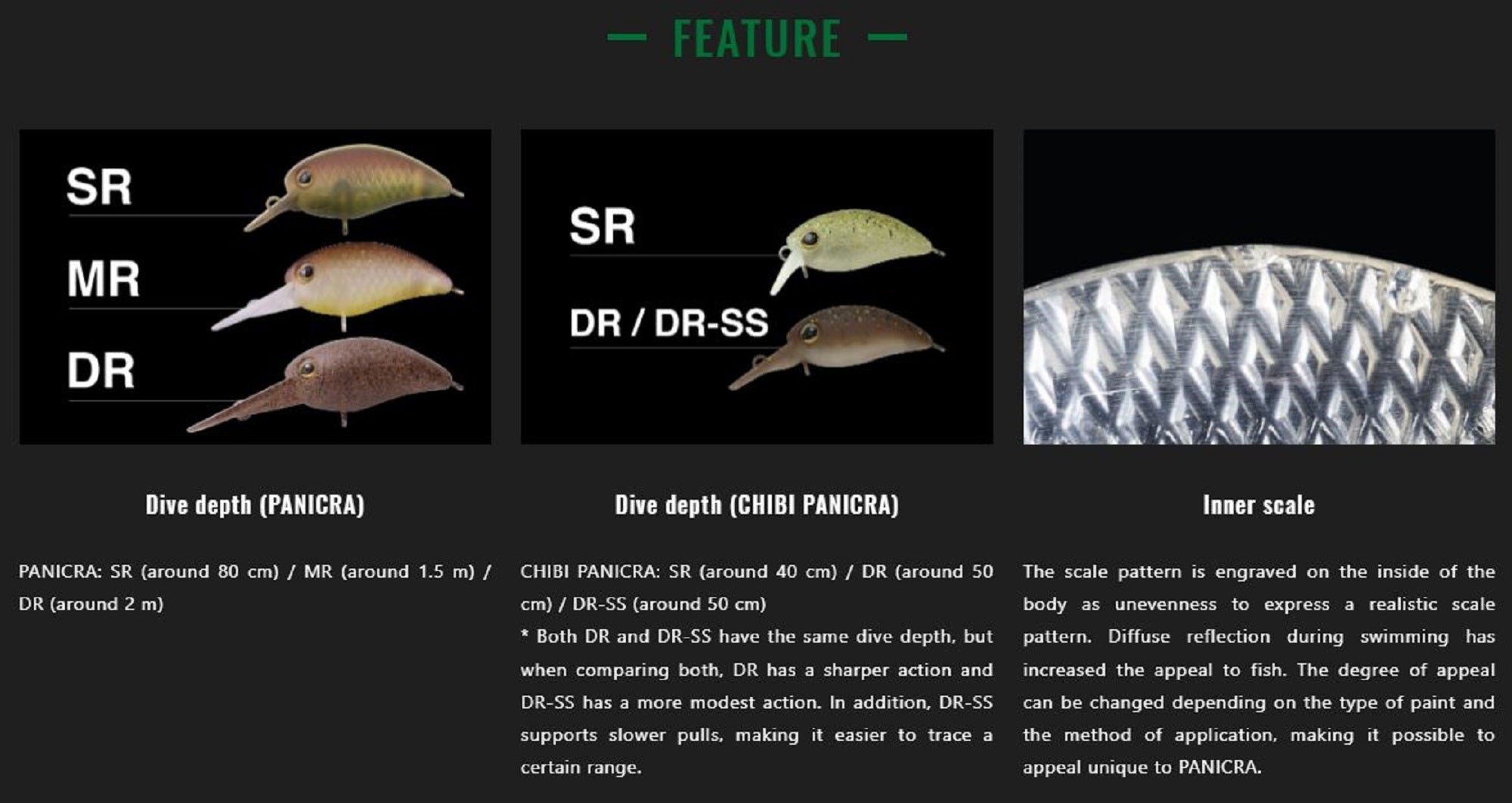 Lure Haven Singapore
