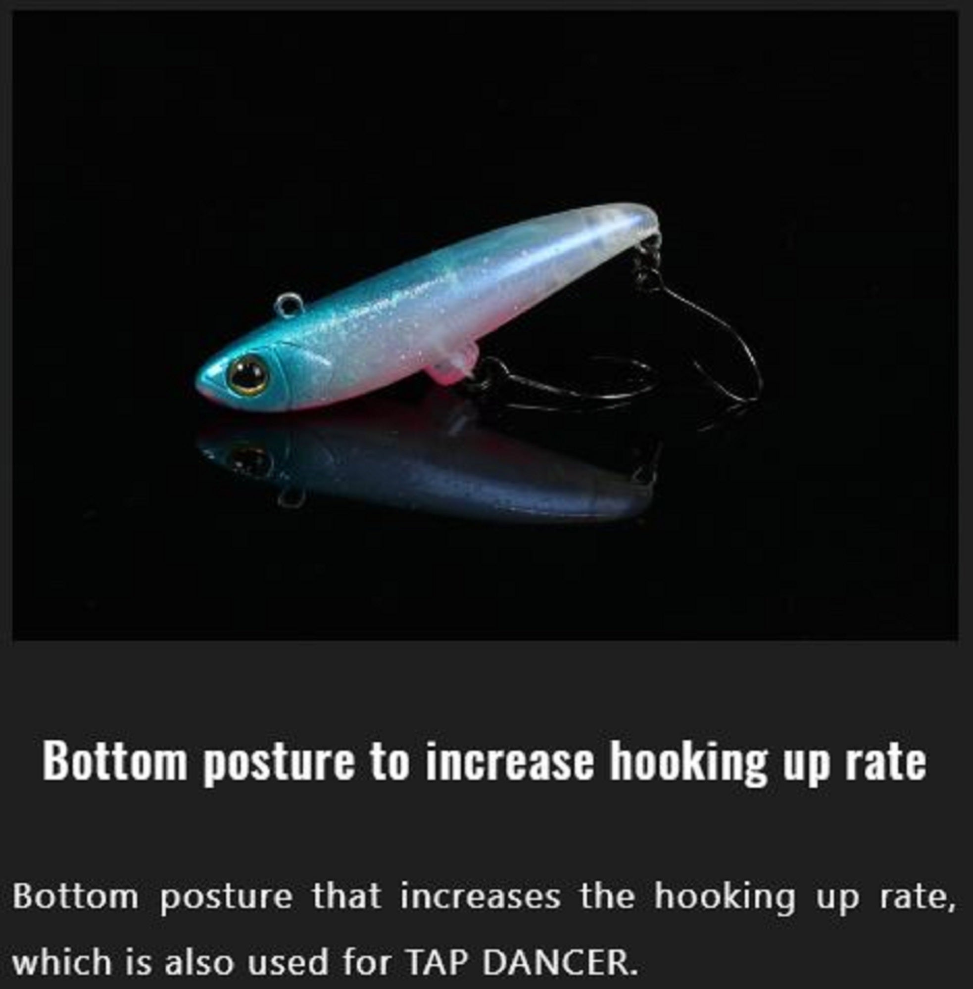 Lure Haven Singapore