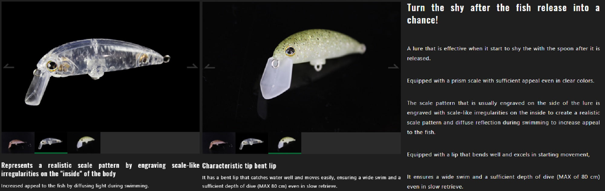 Lure Haven Singapore