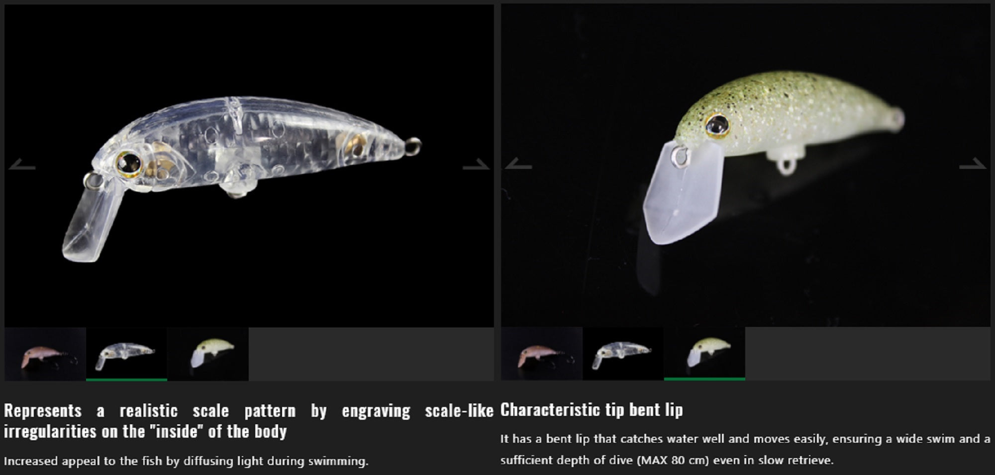 Lure Haven Singapore