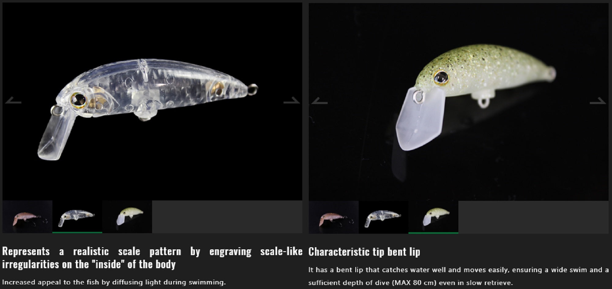 Lure Haven Singapore