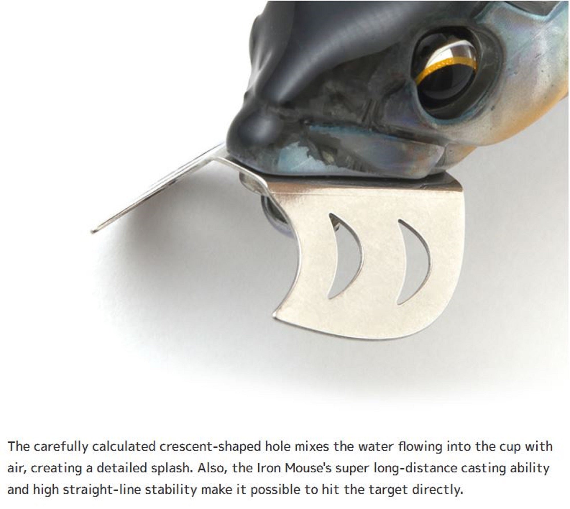 Lure Haven Singapore