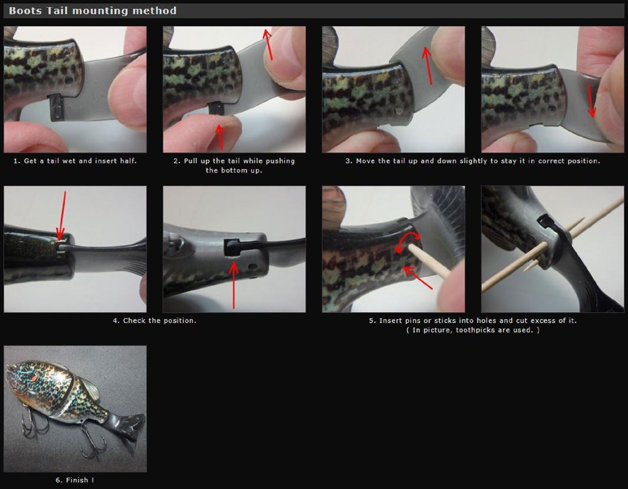 Lure Haven Singapore